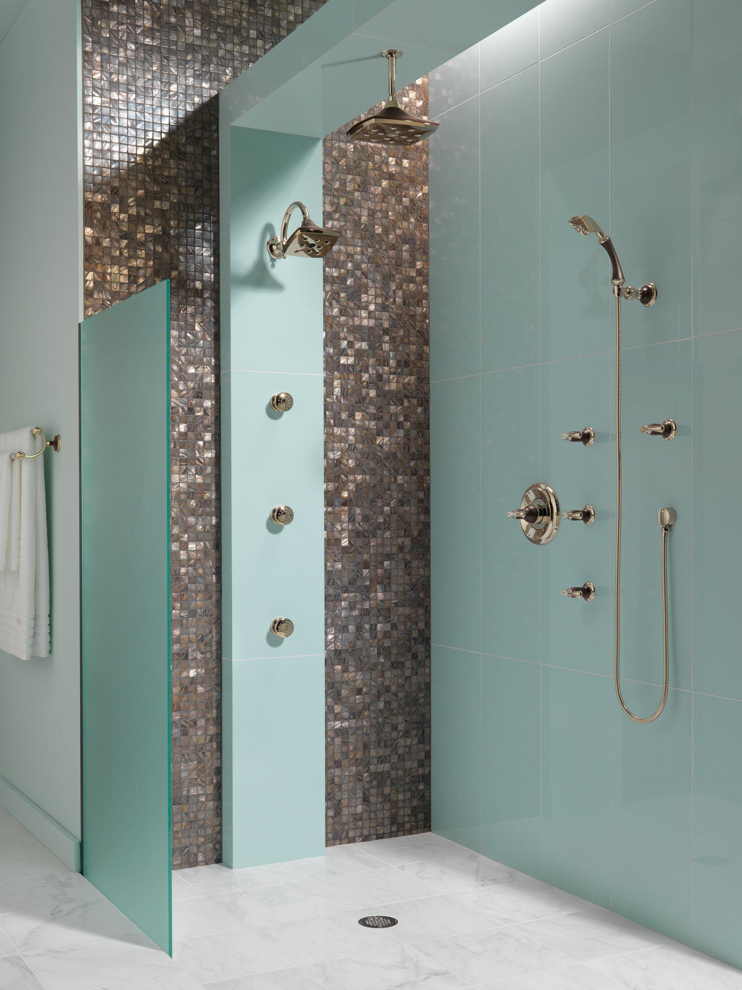 cocoa bronze / polished nickel showerhead