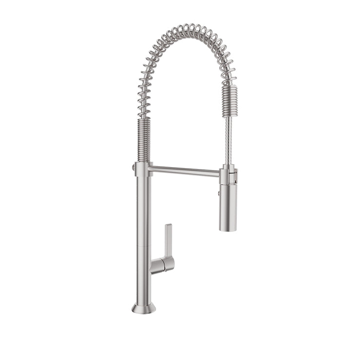Baril Tech Industrial Style, Single Hole Kitchen Faucet with 2-Function Spray