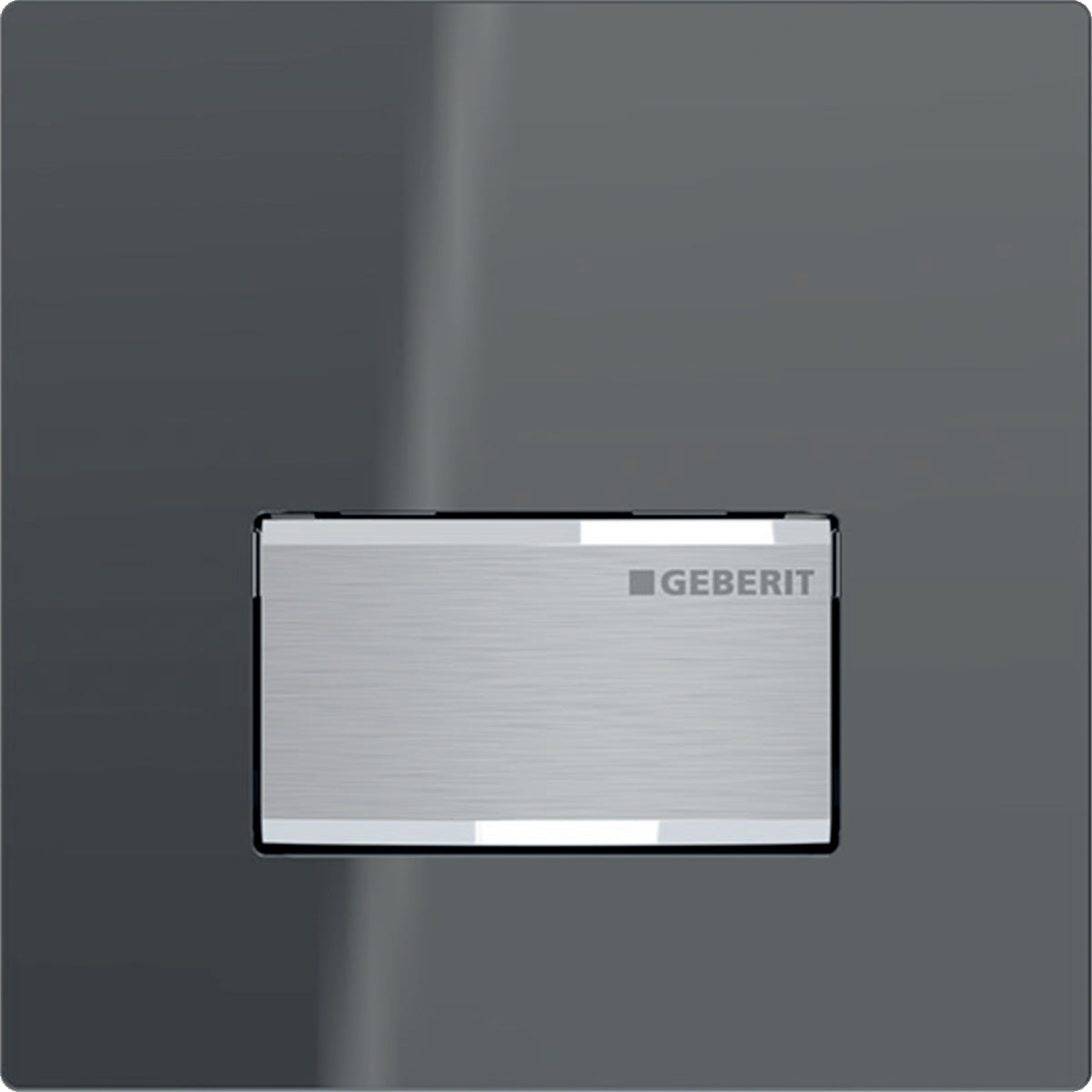 Geberit Urinal Flush Control with Pneumatic Flush Actuation and Type 50 Actuator Plate