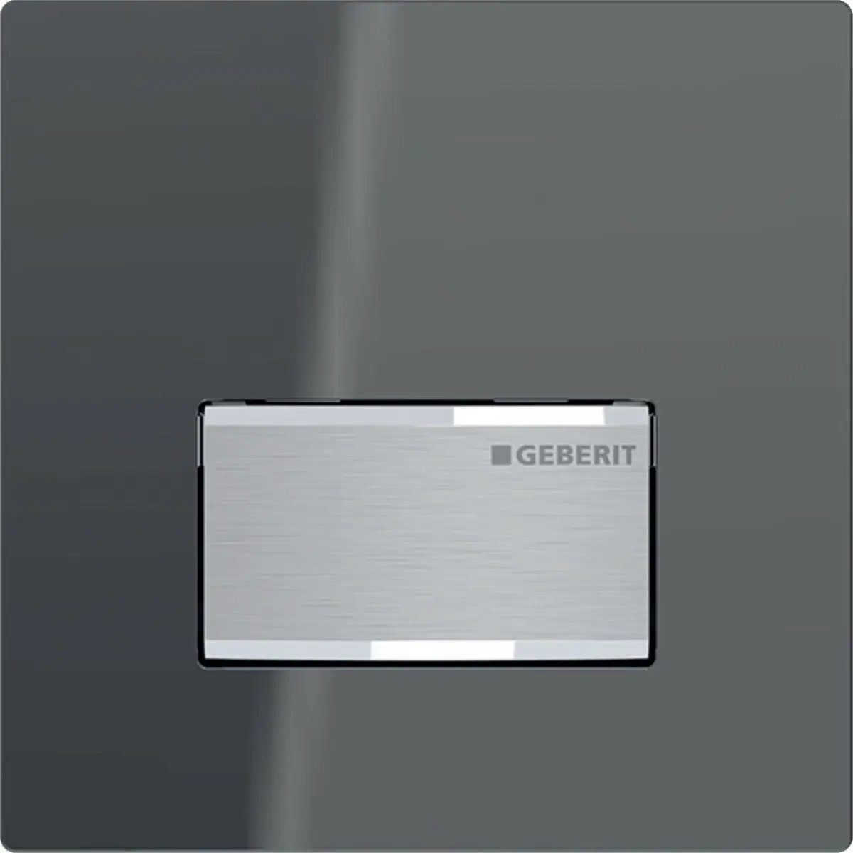 Geberit Urinal Flush Control with Pneumatic Flush Actuation and Type 50 Actuator Plate by Geberit