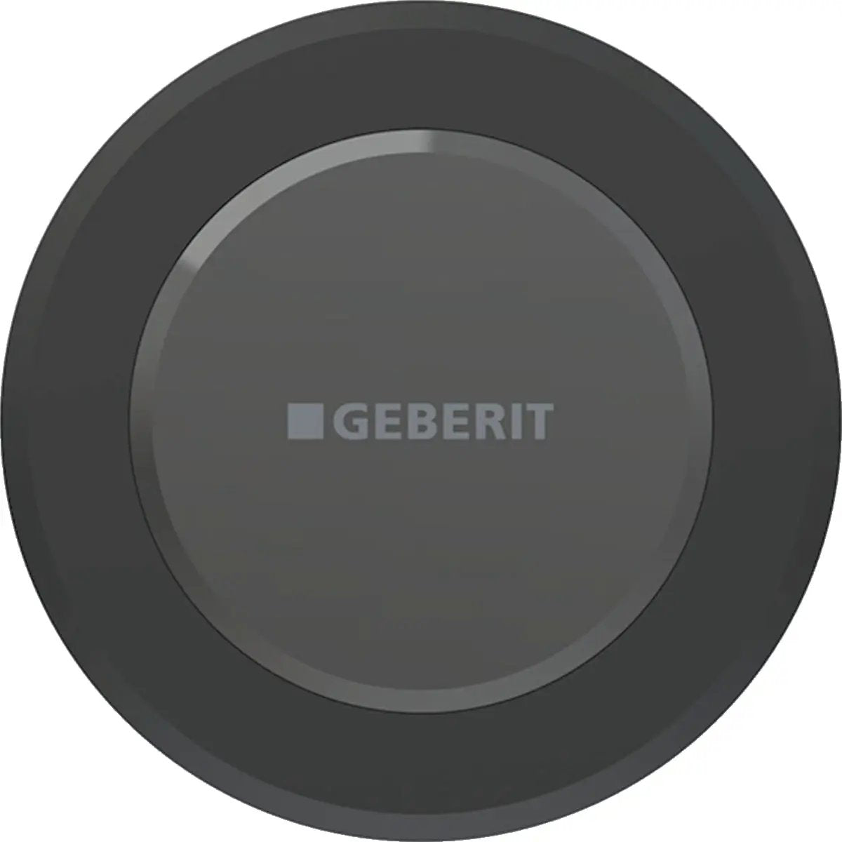 matte black flush control