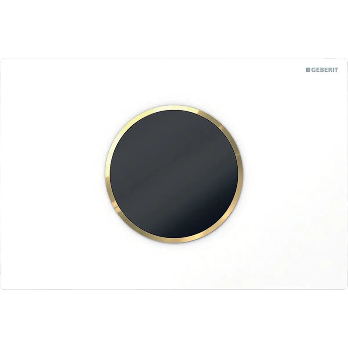 Geberit Toilet Flush Control with Electronic Flush Actuation, Battery Operation, Dual Flush and Sigma 10 Actuator Plate Automatic/Touchless by Geberit