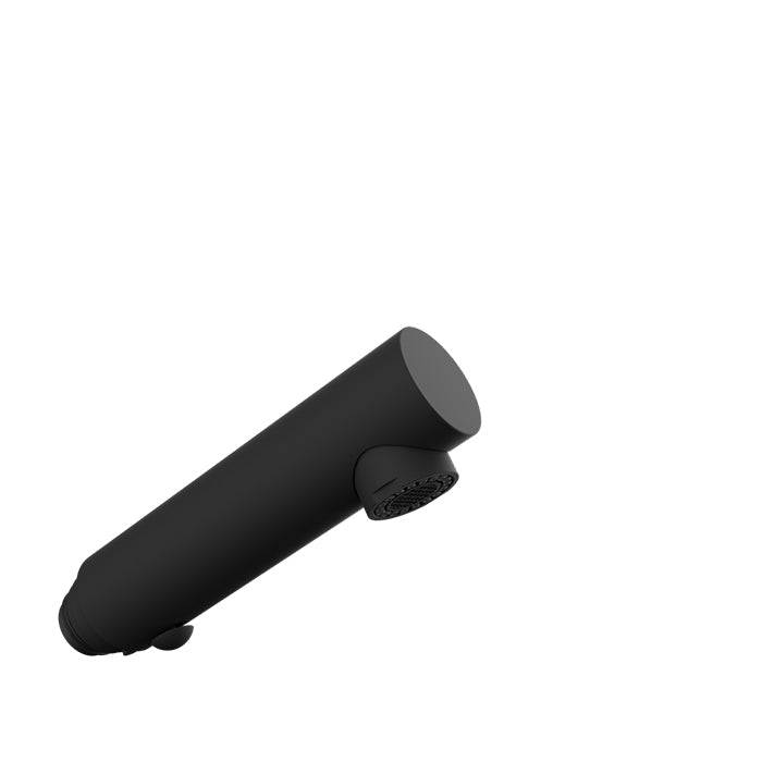 Baril Kitchen Parts Brass 2-Spray Hand Shower