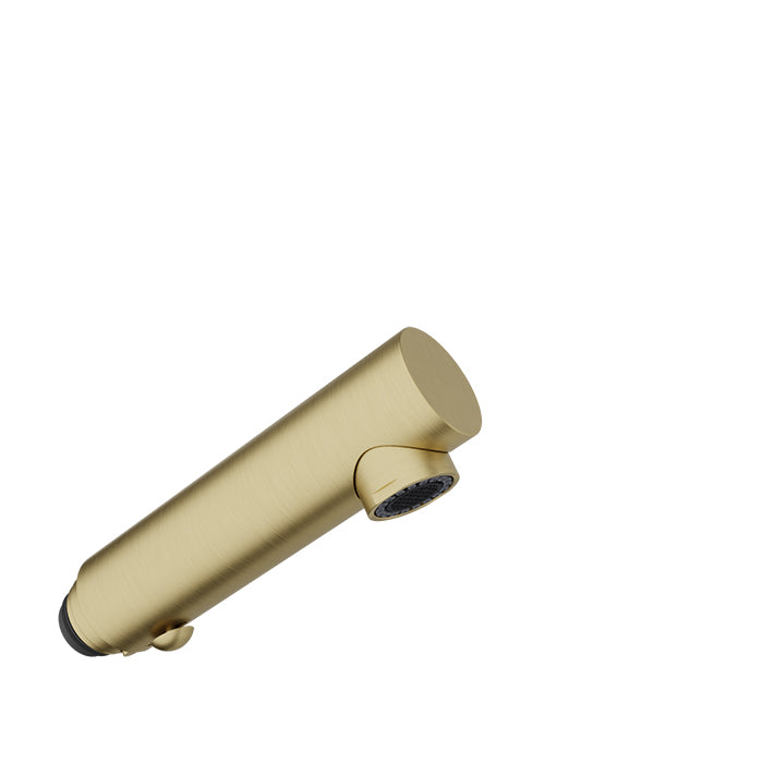 Baril Kitchen Parts Brass 2-Spray Hand Shower