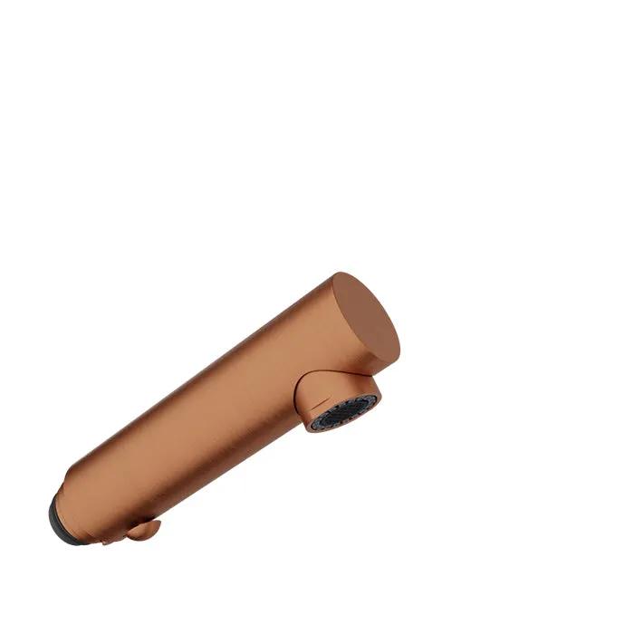 Baril Kitchen Parts Brass 2-Spray Hand Shower by Baril