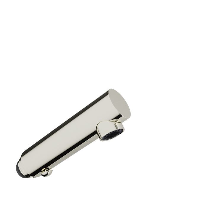 Baril Kitchen Parts Brass 2-Spray Hand Shower