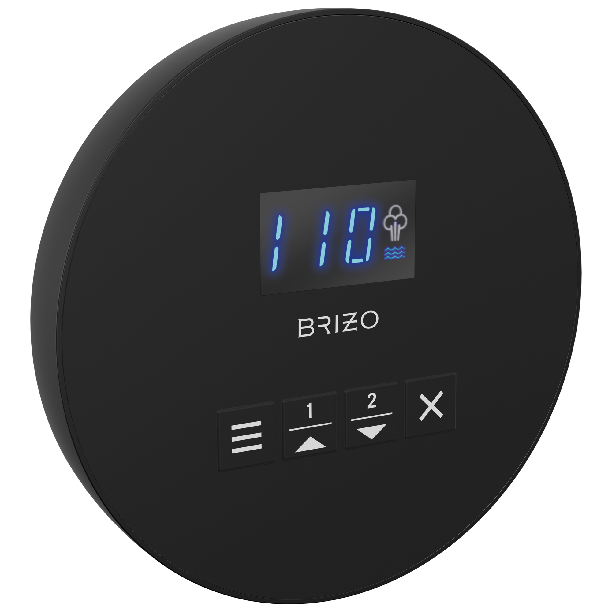 Brizo Mystix Round Steam Control by Brizo