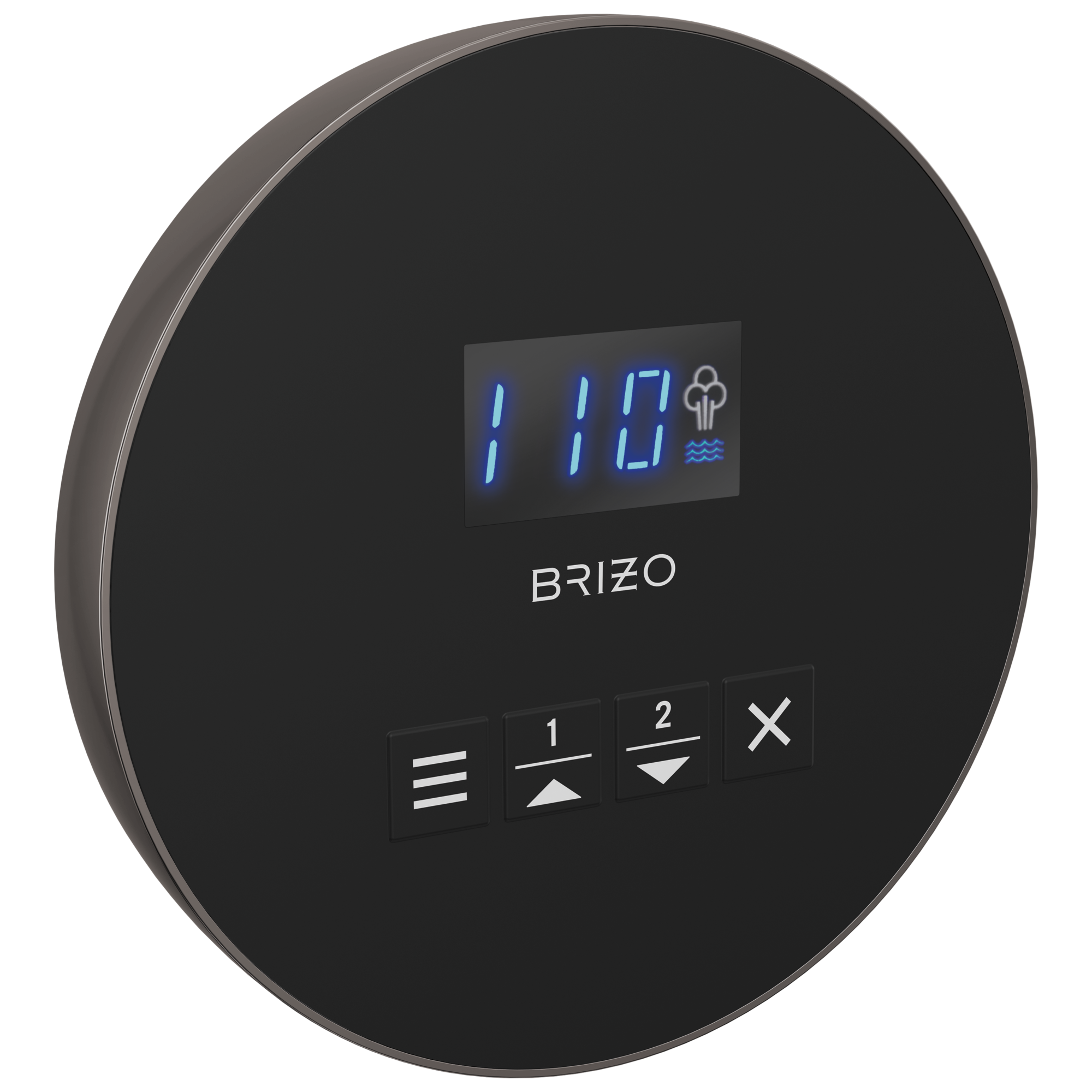 Brizo Mystix Round Steam Control by Brizo