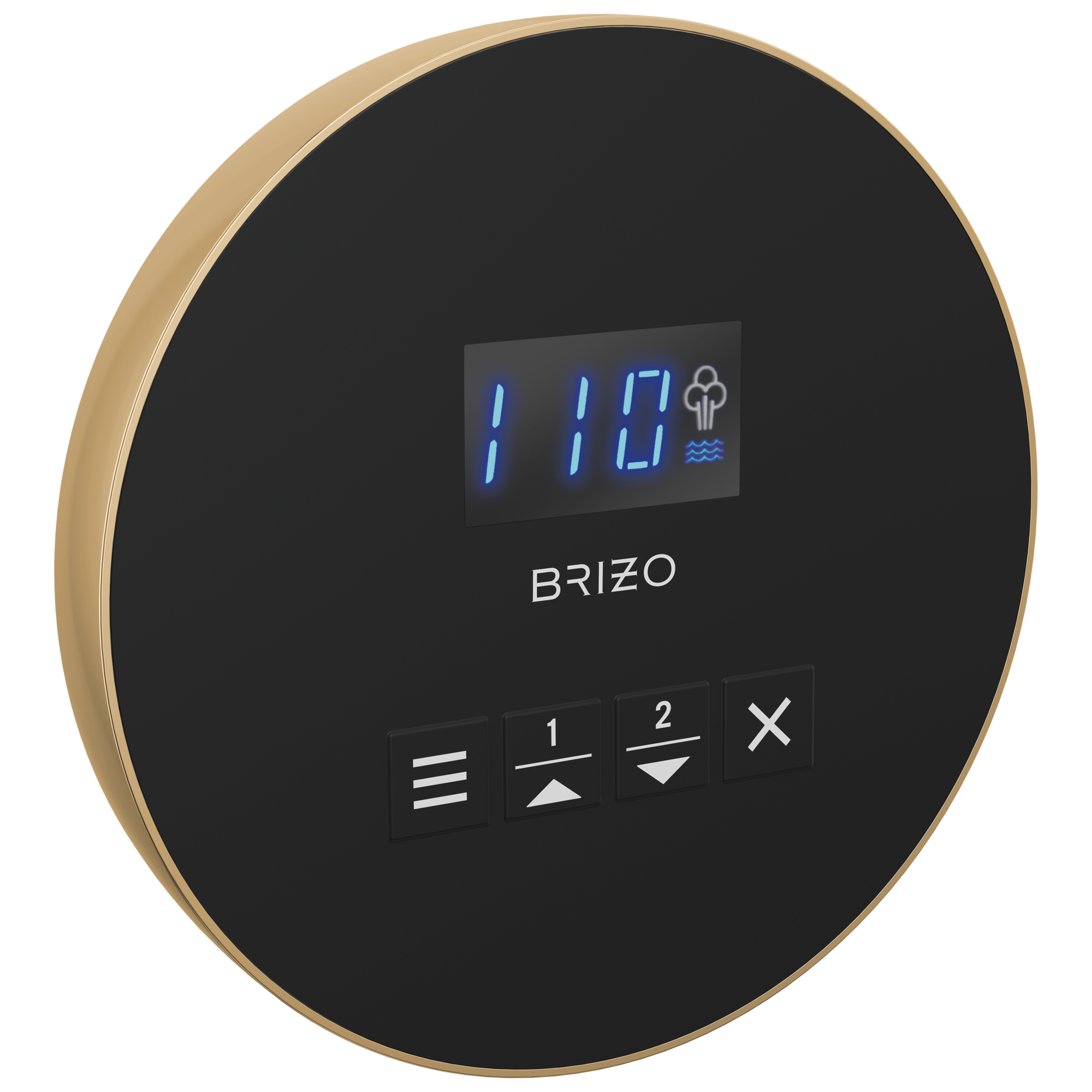 Brizo Mystix Round Steam Control by Brizo