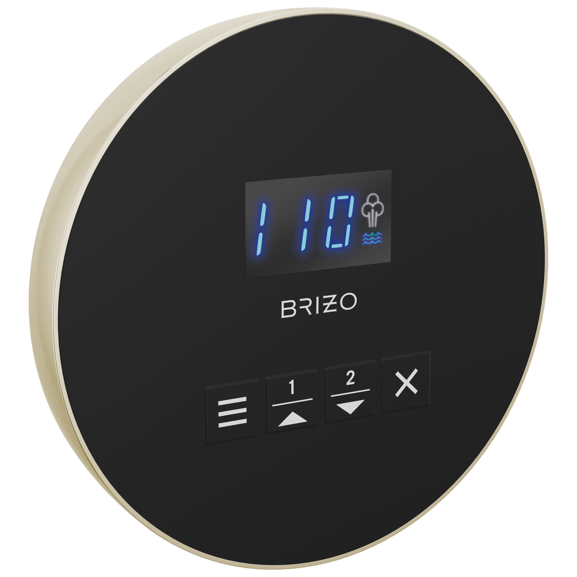 Brizo Mystix Round Steam Control