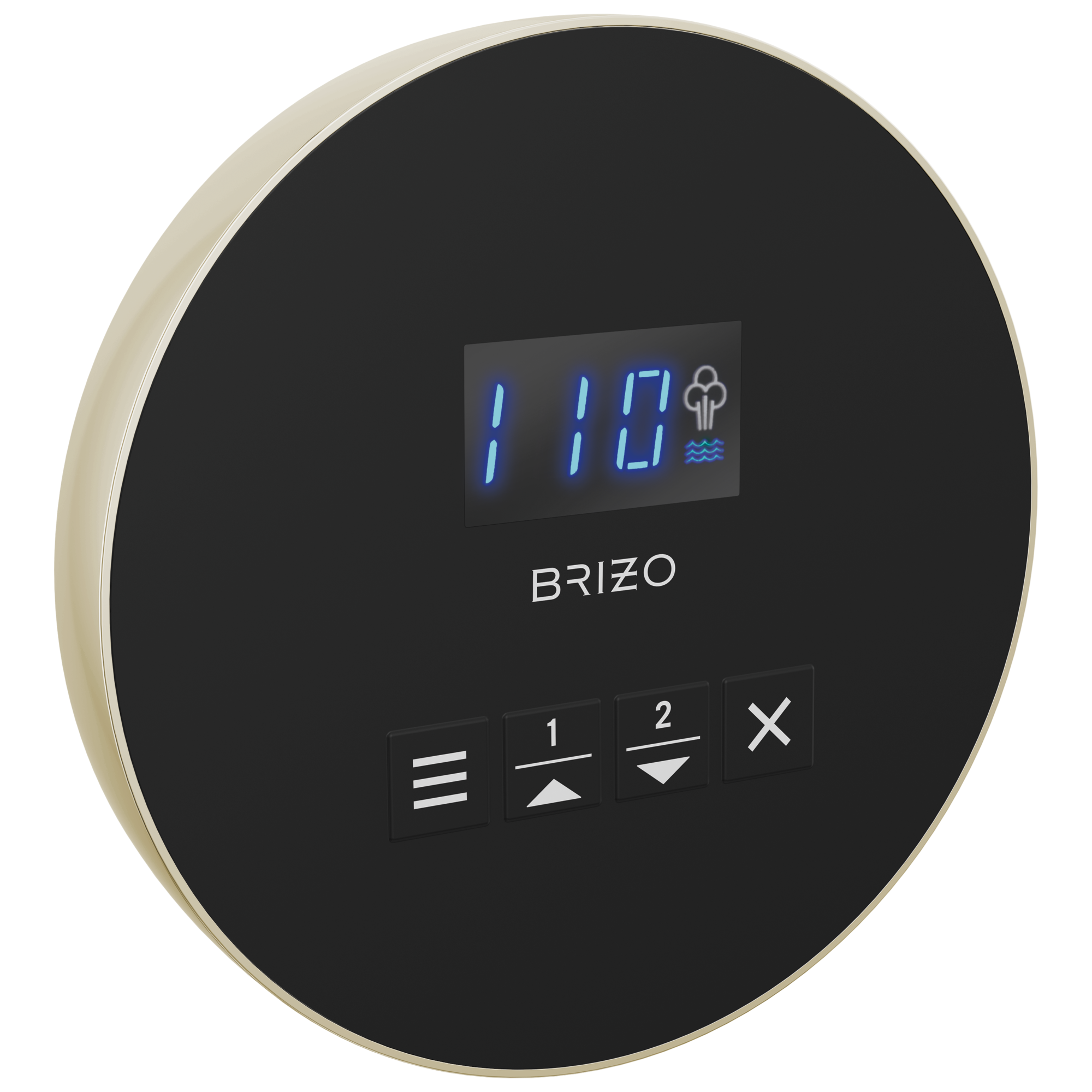Brizo Mystix Round Steam Control by Brizo