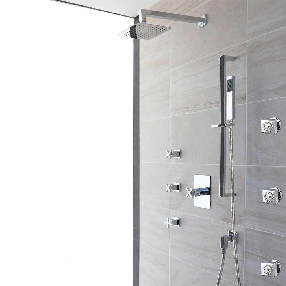 polished chrome hand shower