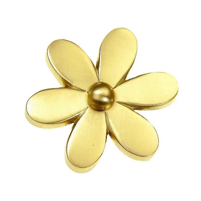 satin brass knob