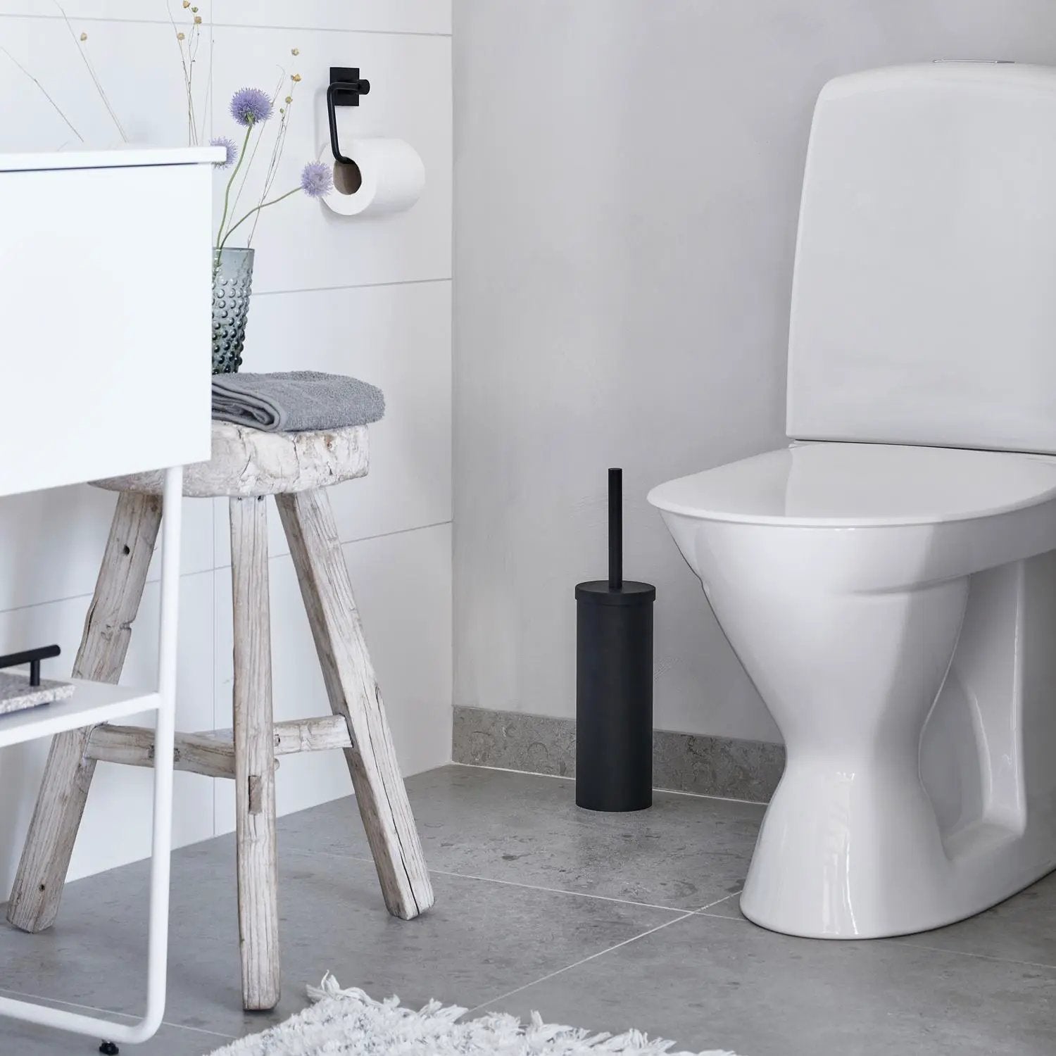 polished chrome toilet brush