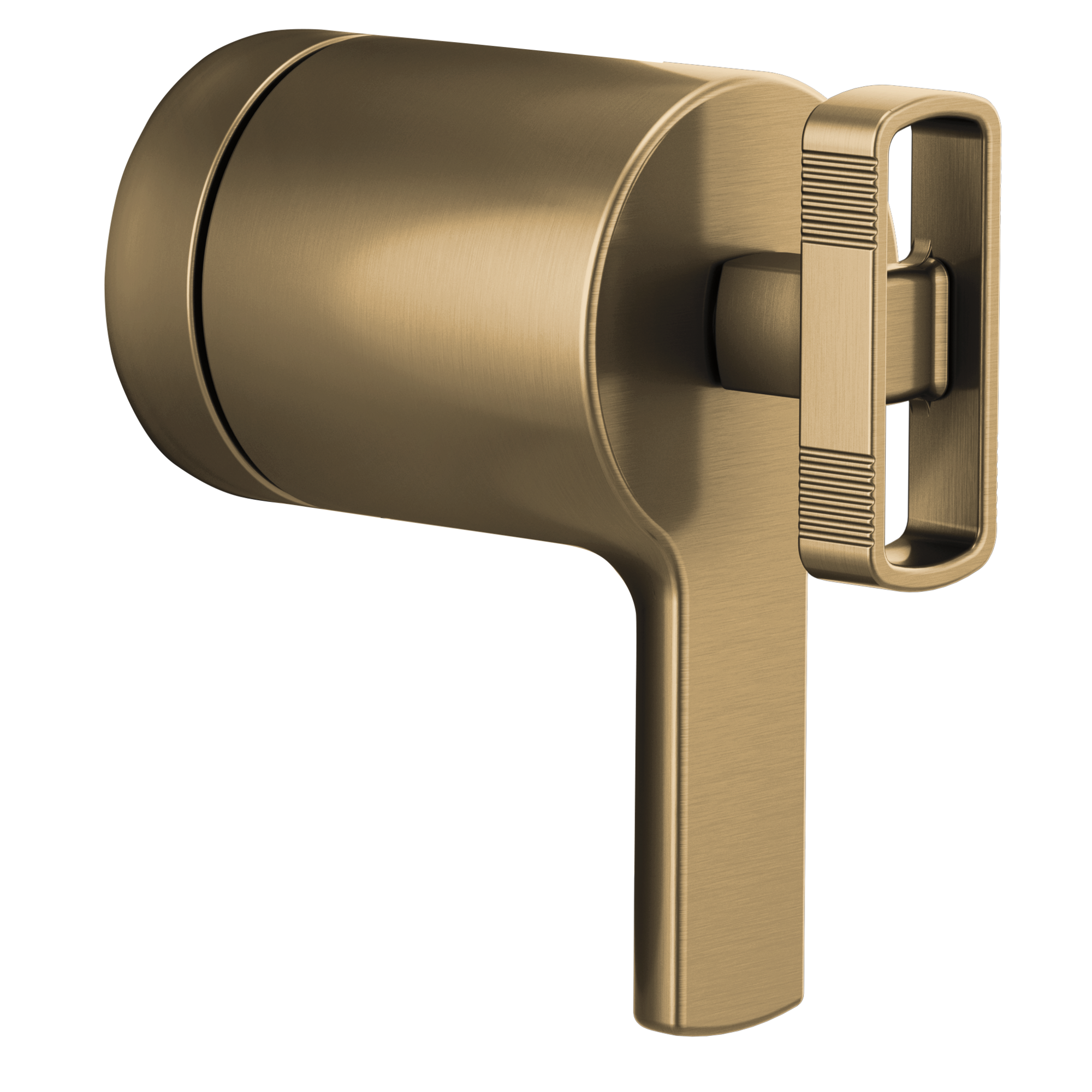 luxe gold handle kit