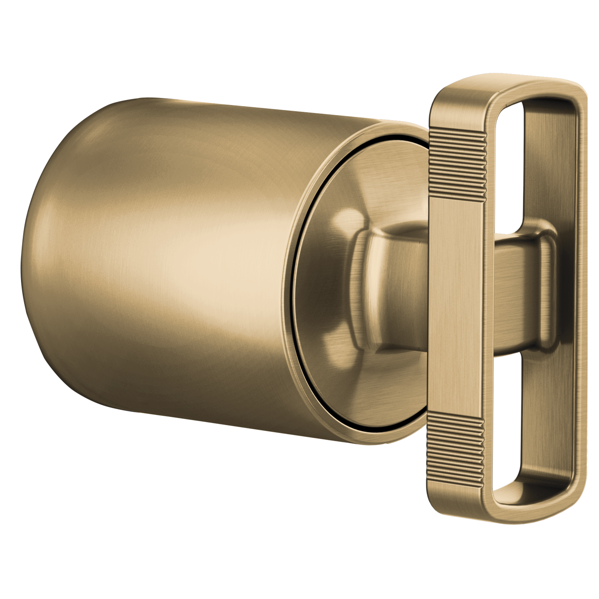 luxe gold handle kit