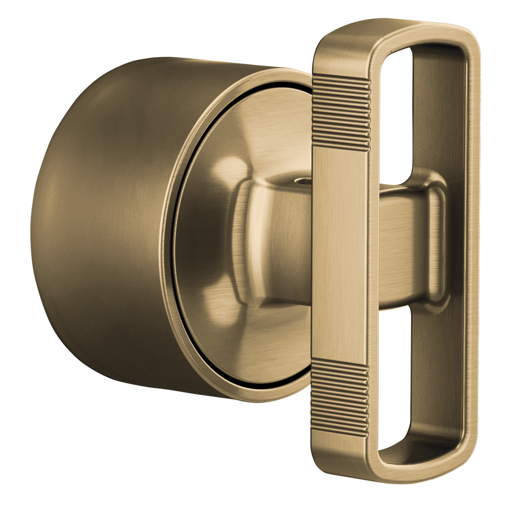 luxe gold handle kit