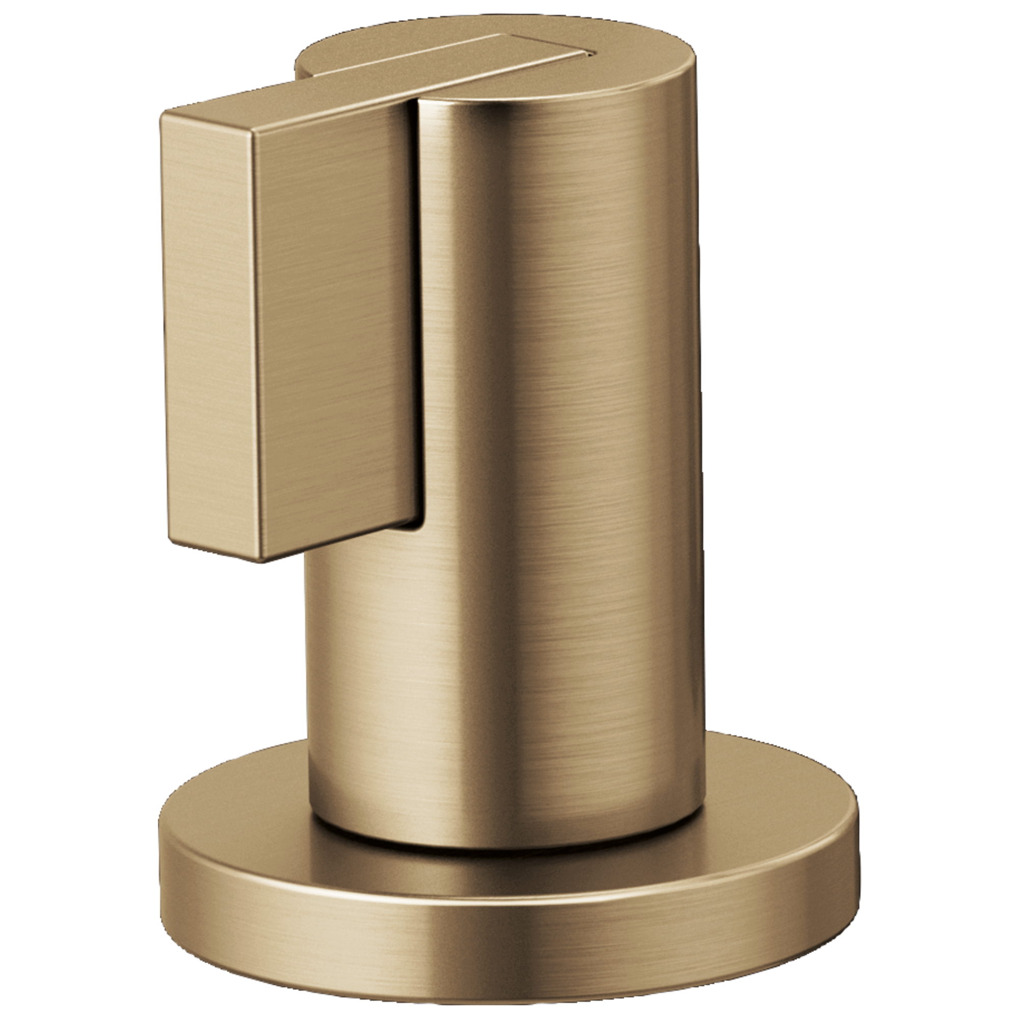 Brizo Litze Widespread Lavatory Lever Handle Kit by Brizo