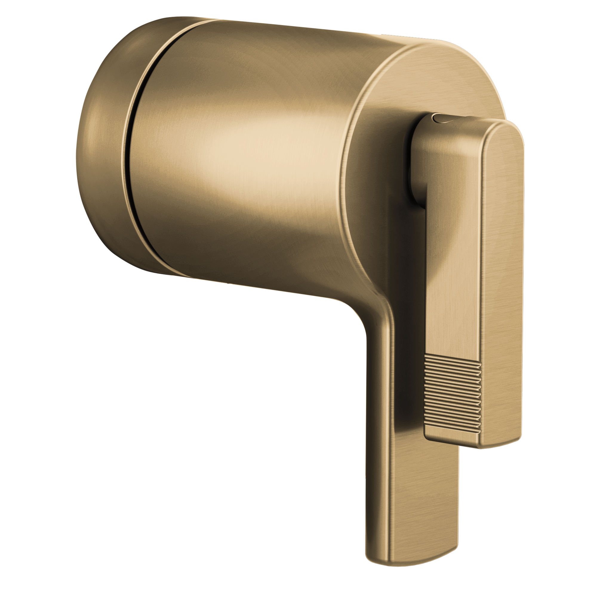 luxe gold handle kit