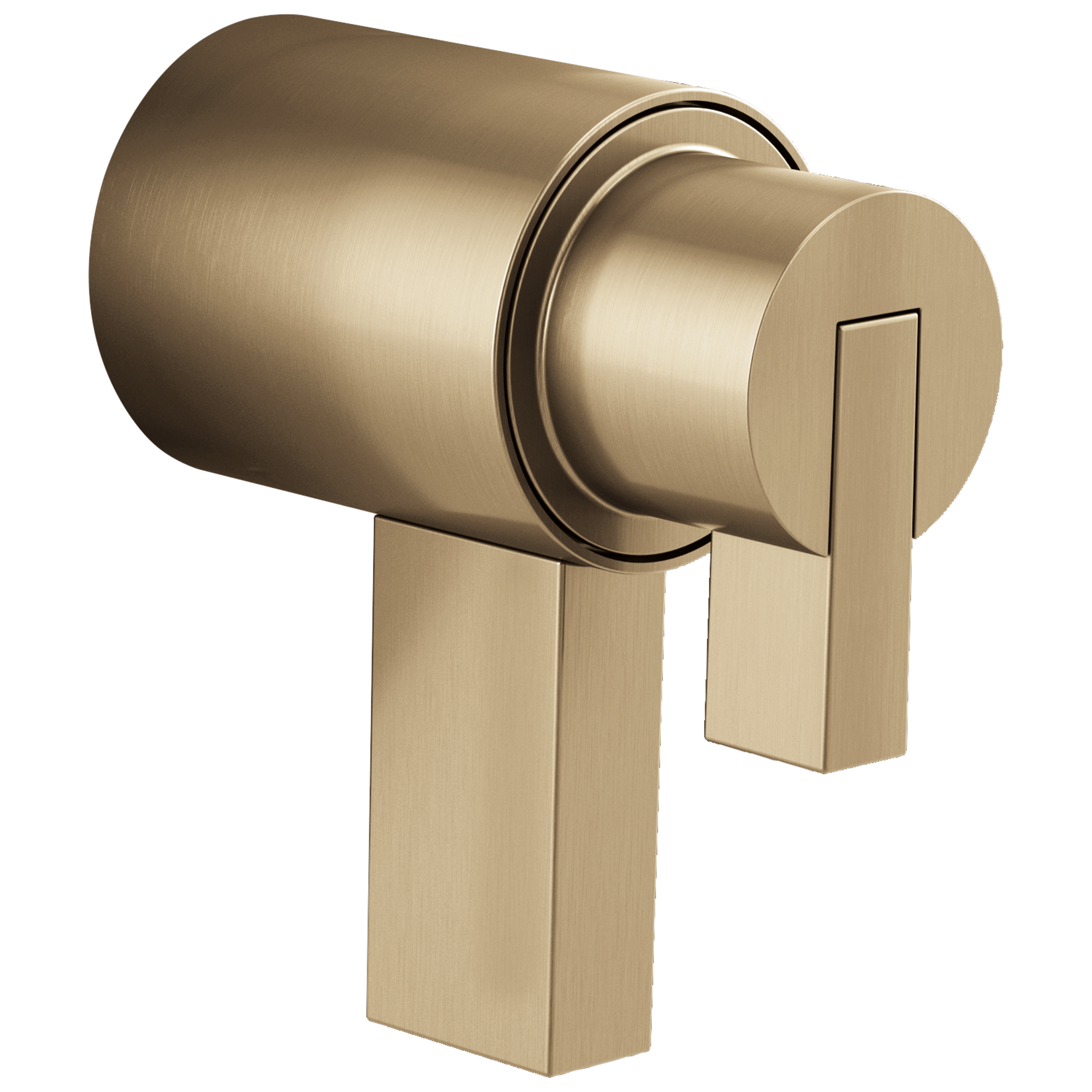 luxe gold handle kit