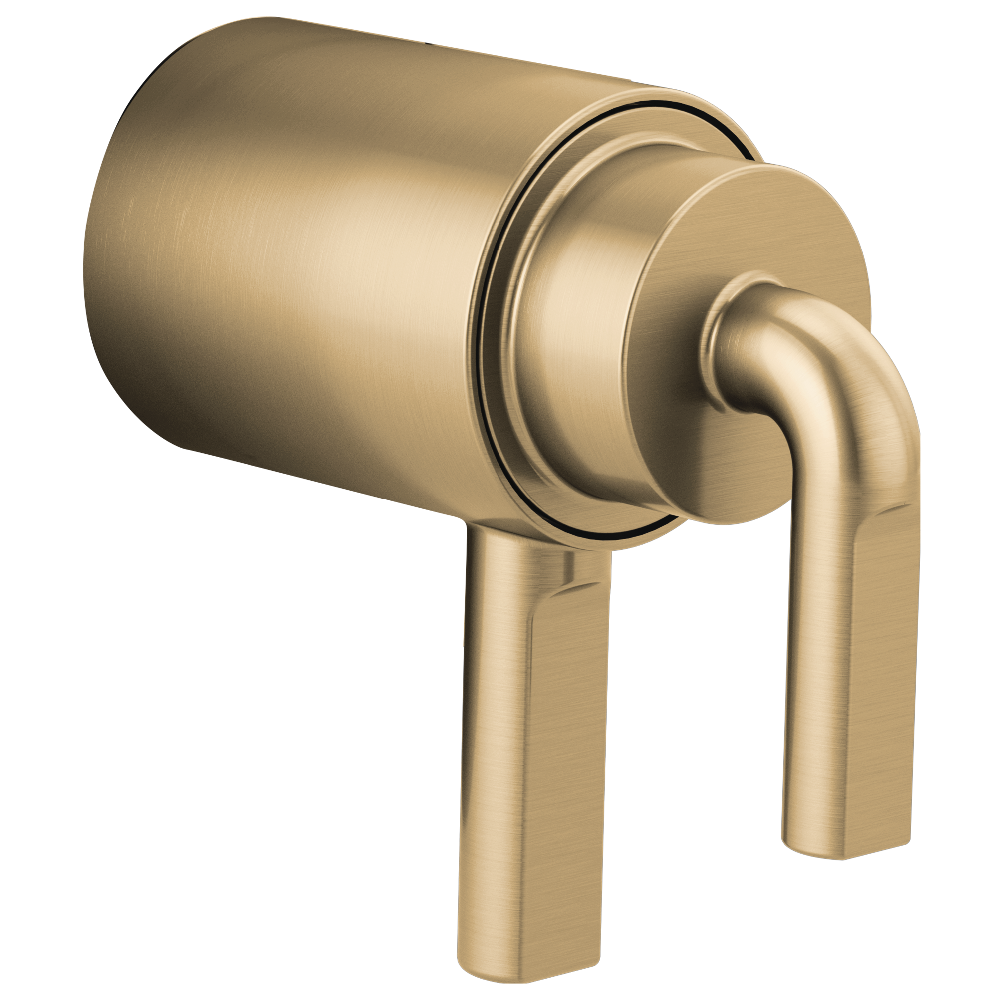 luxe gold handle kit