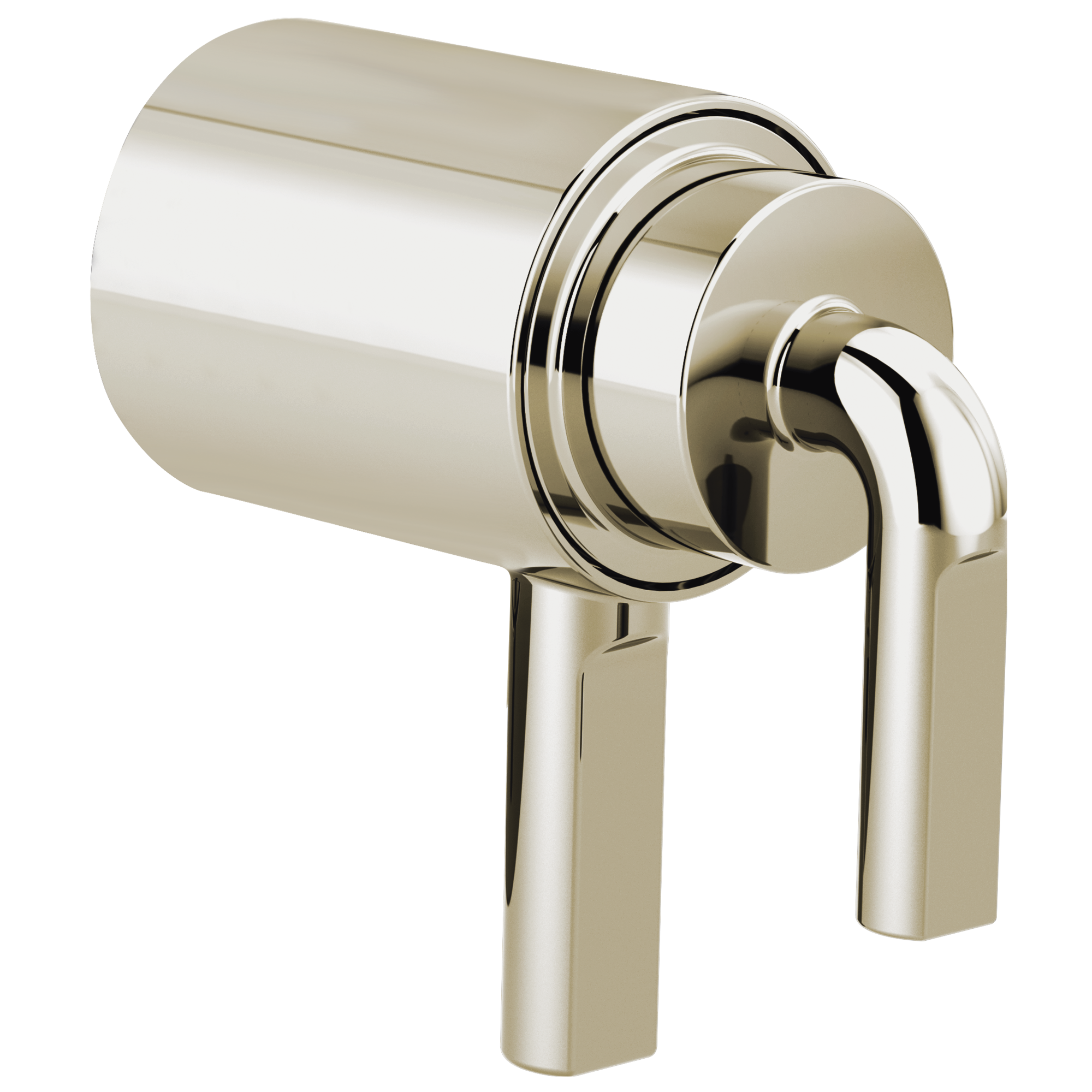 polished nickel handle kit