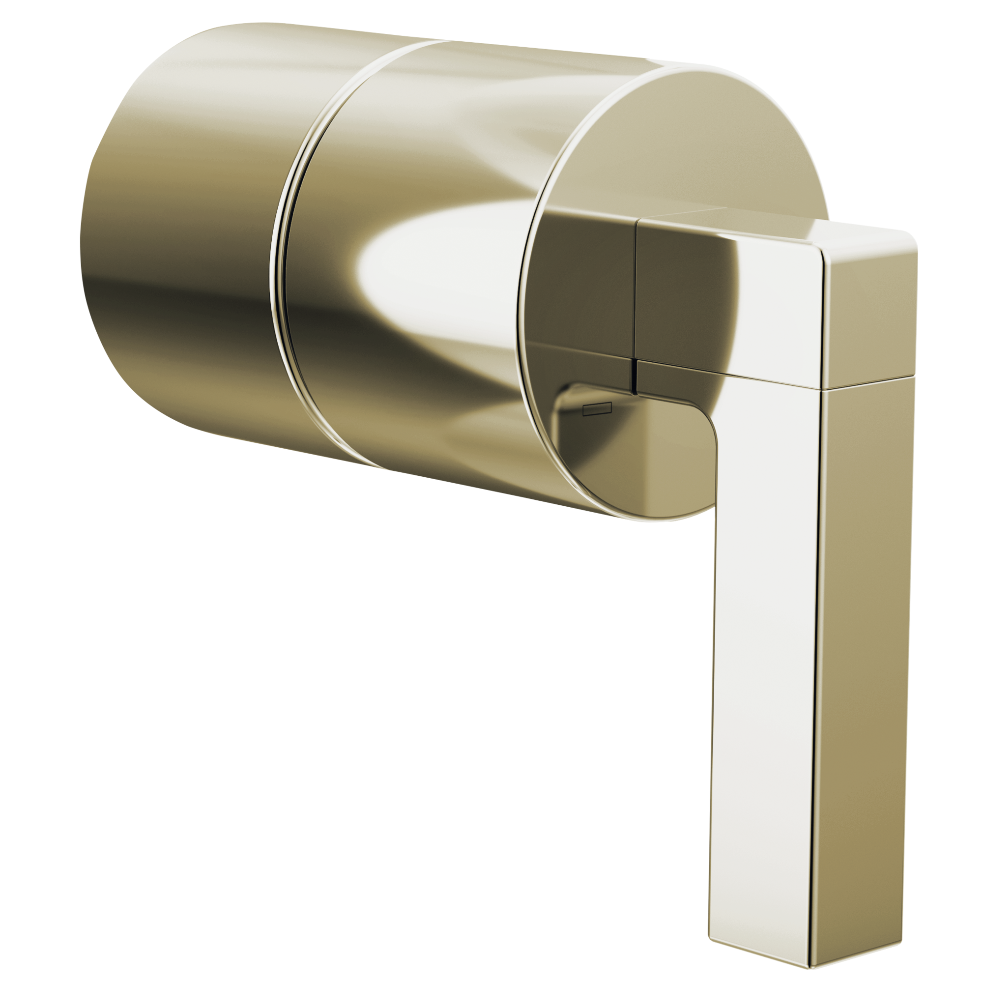 polished nickel handle kit