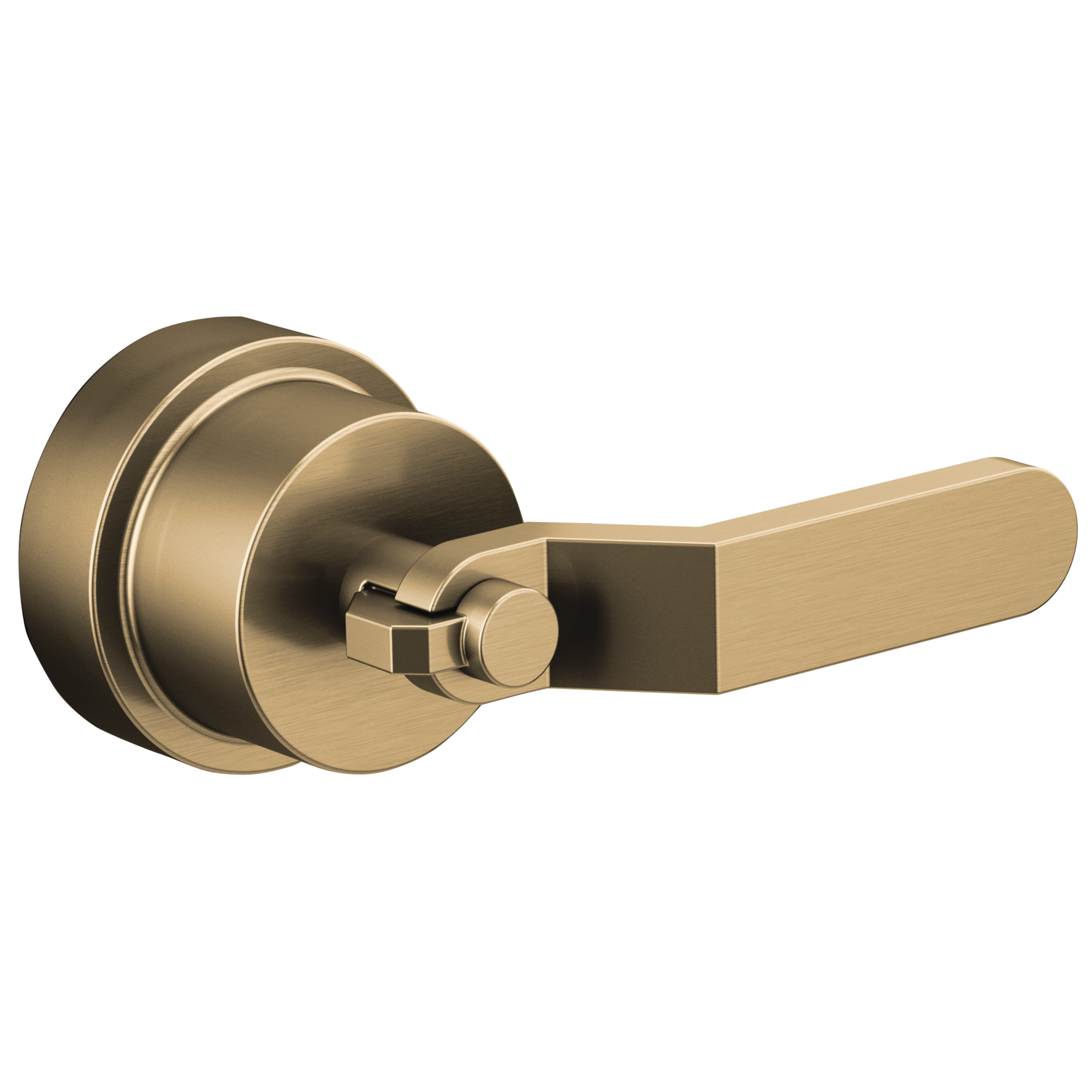 luxe gold handle kit