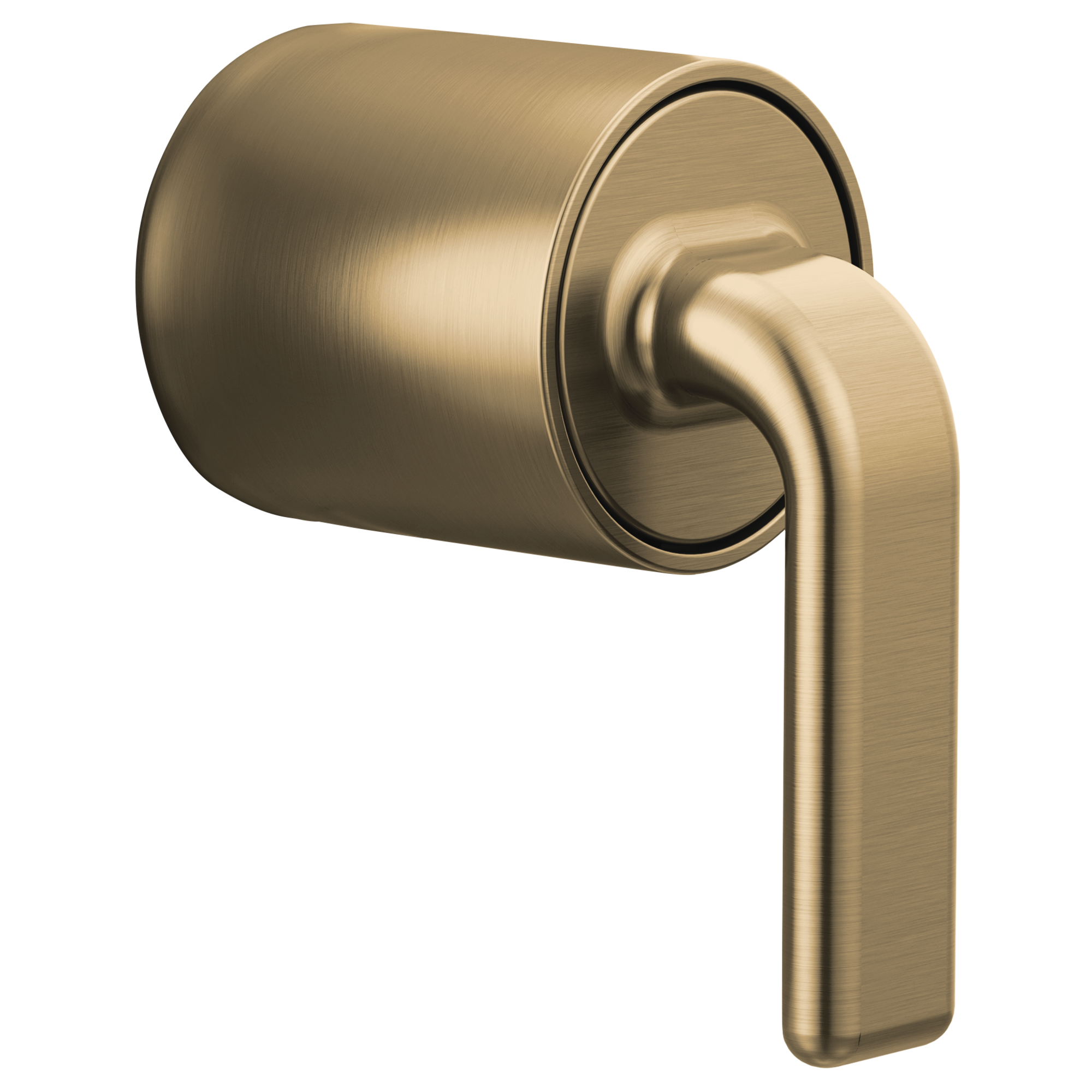 luxe gold handle kit