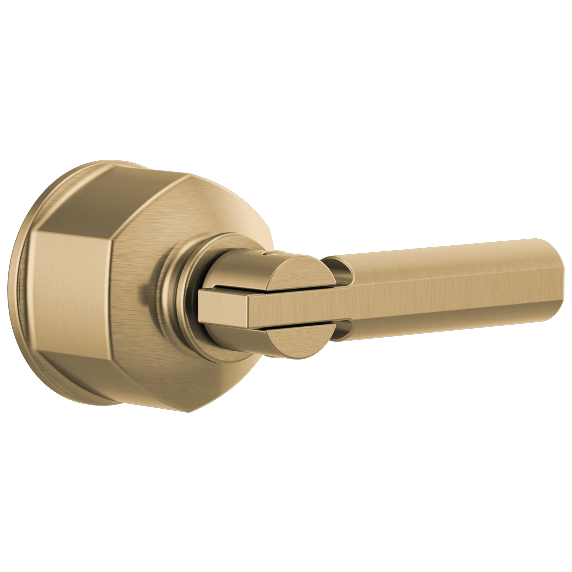 luxe gold handle kit