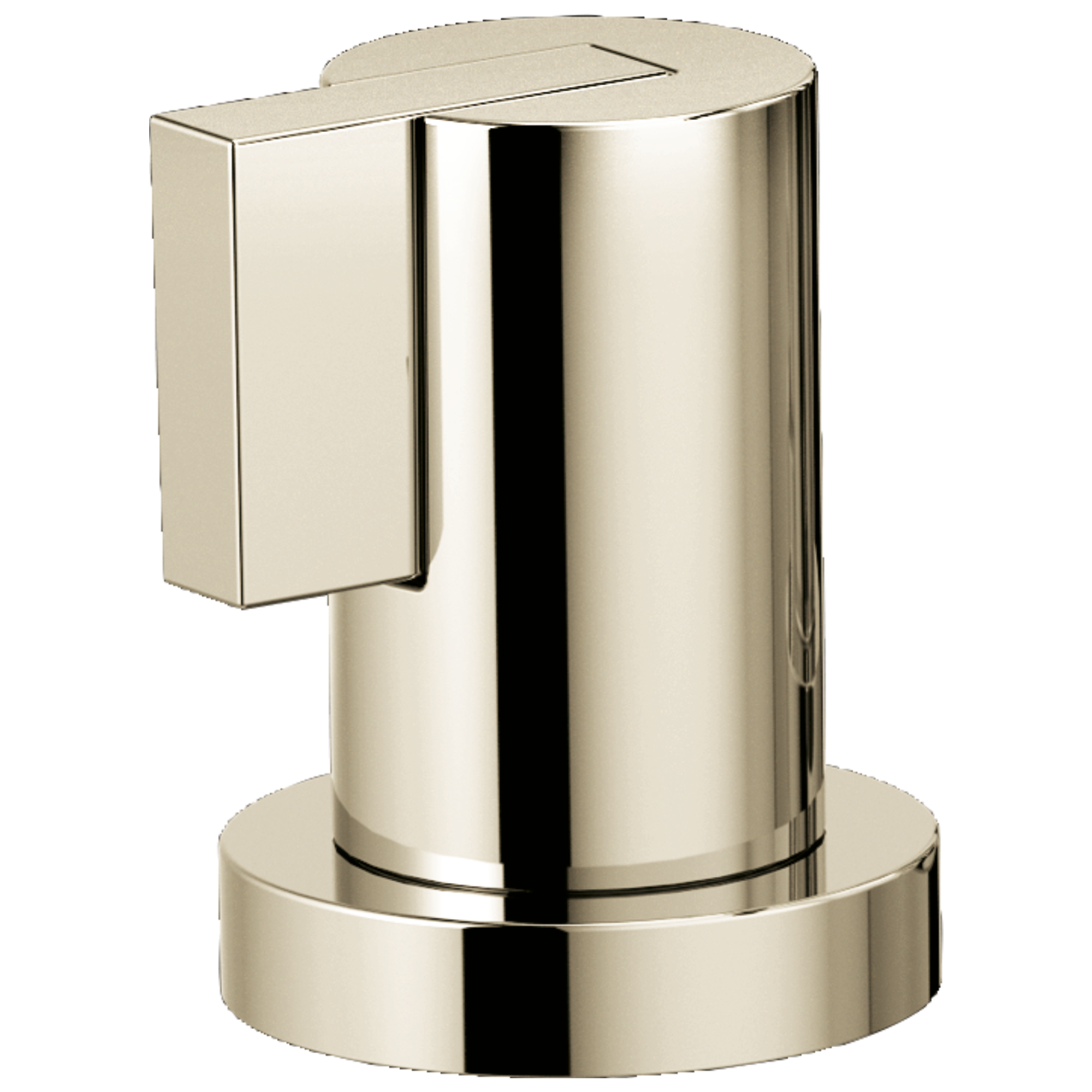 polished nickel handle kit