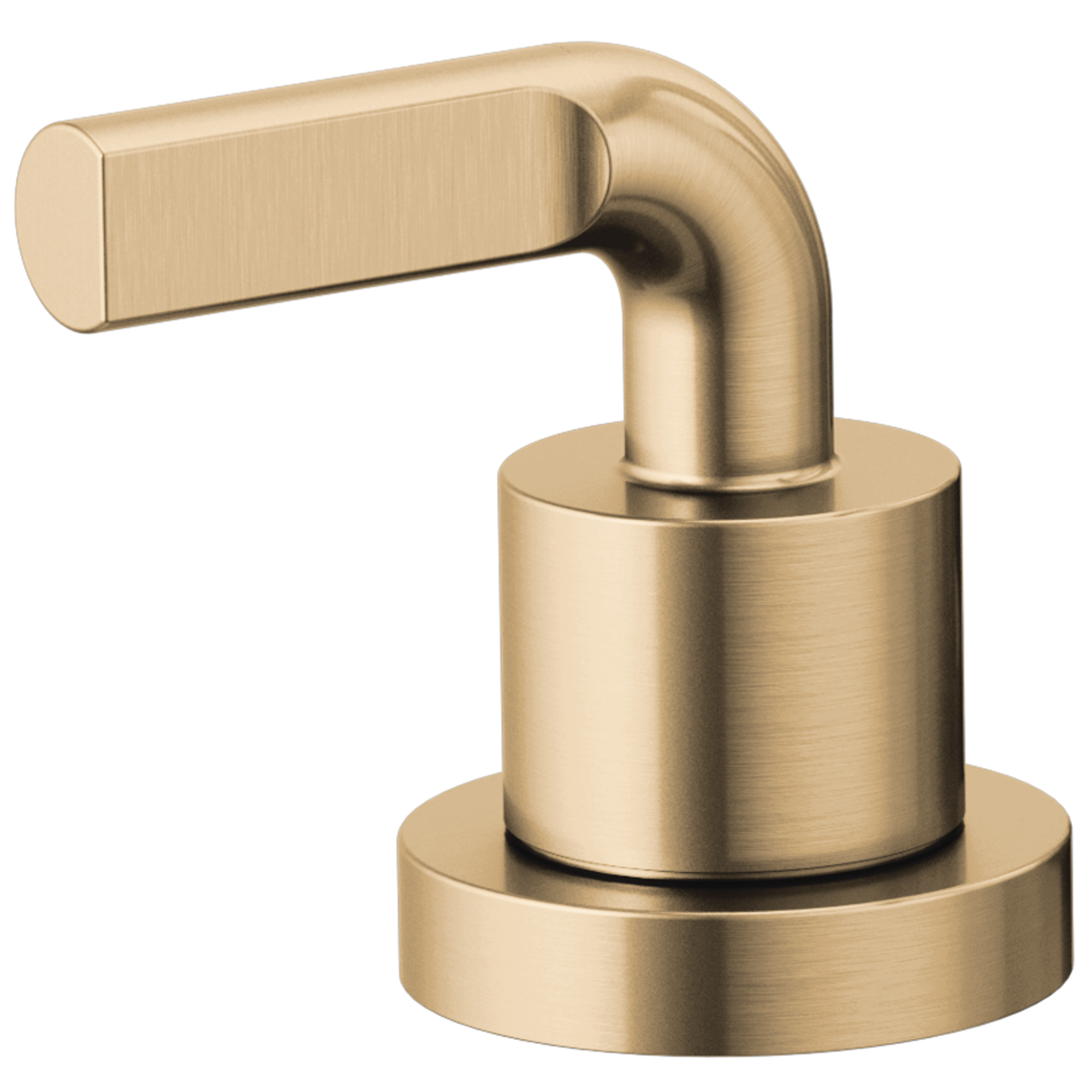 luxe gold handle kit