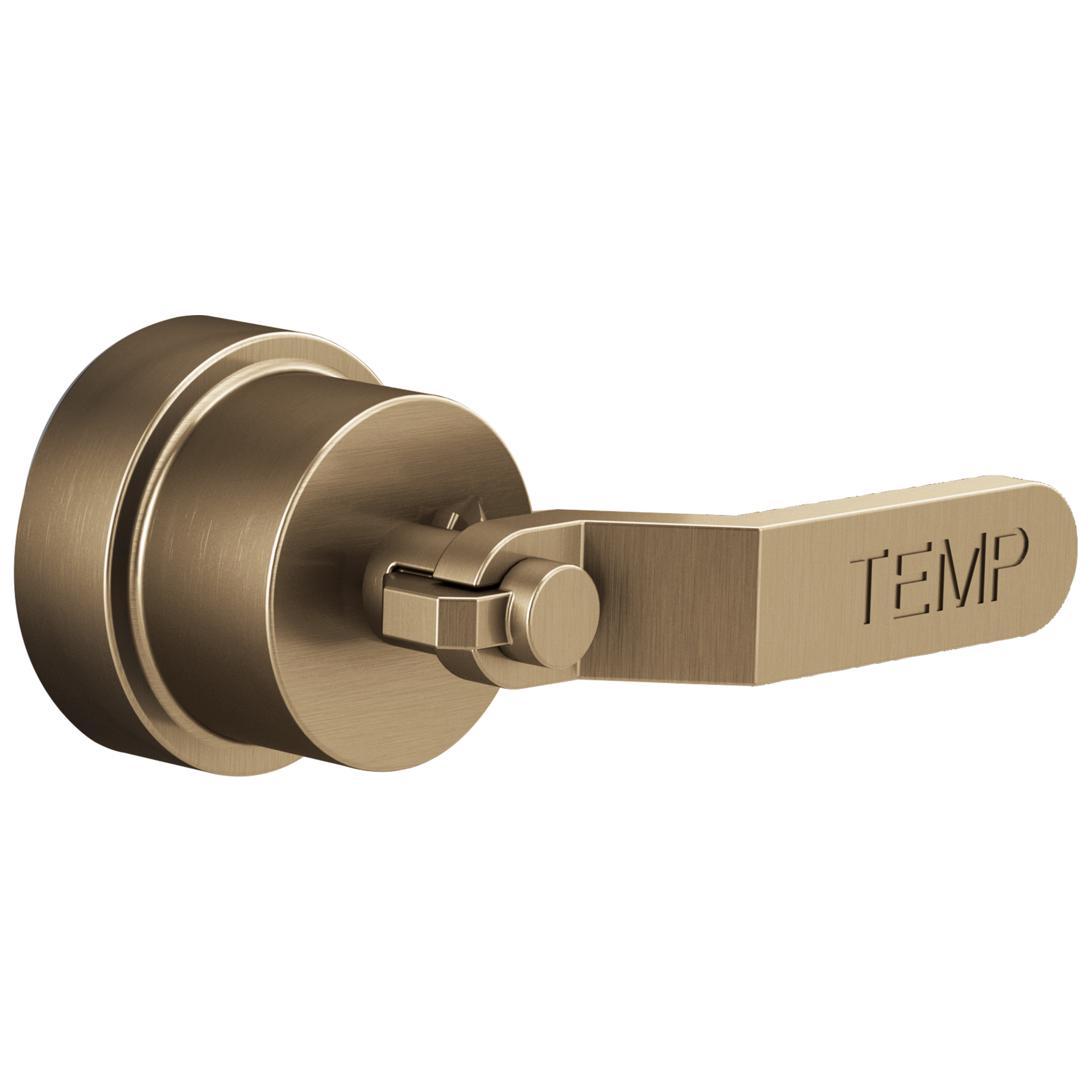 luxe gold handle kit