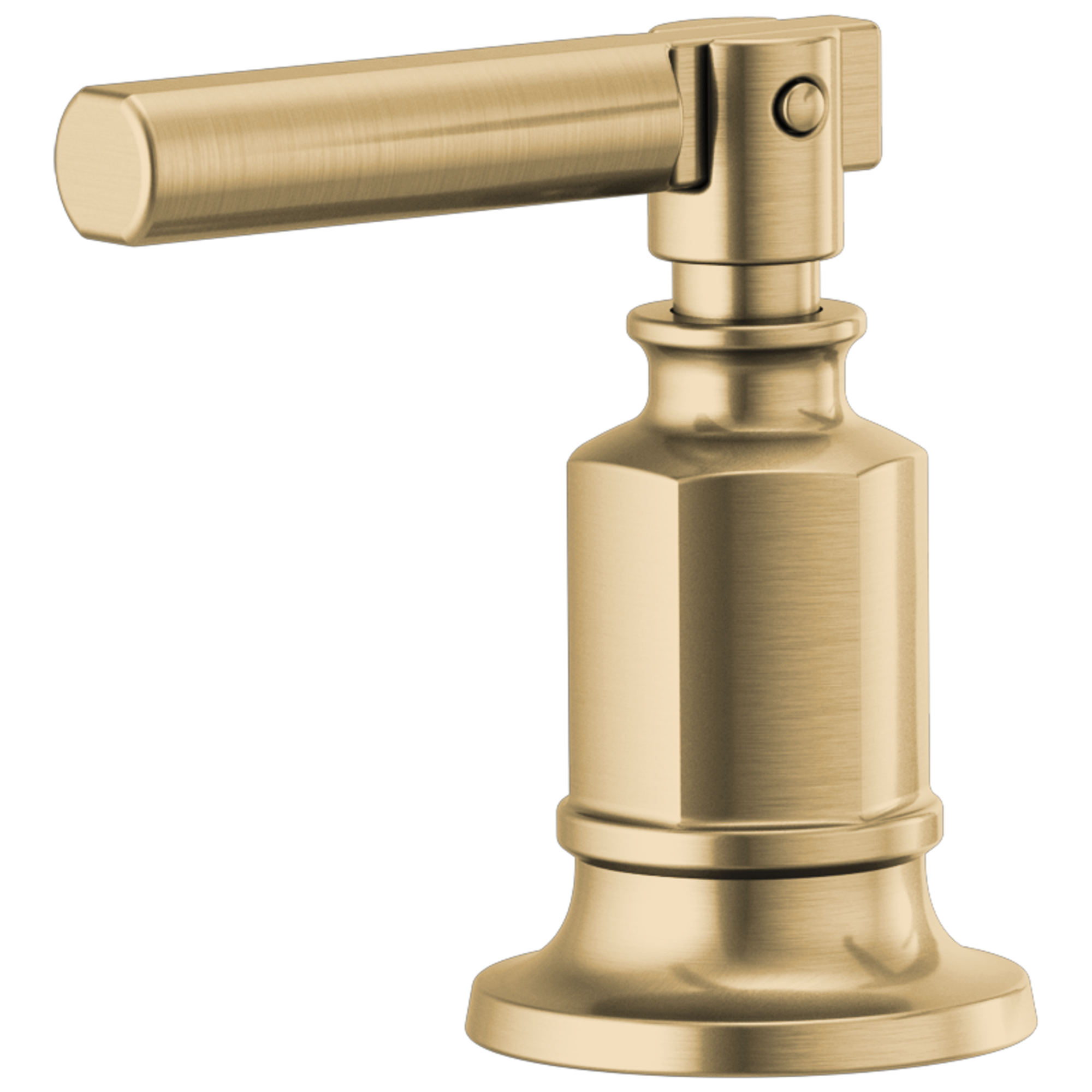 luxe gold handle kit