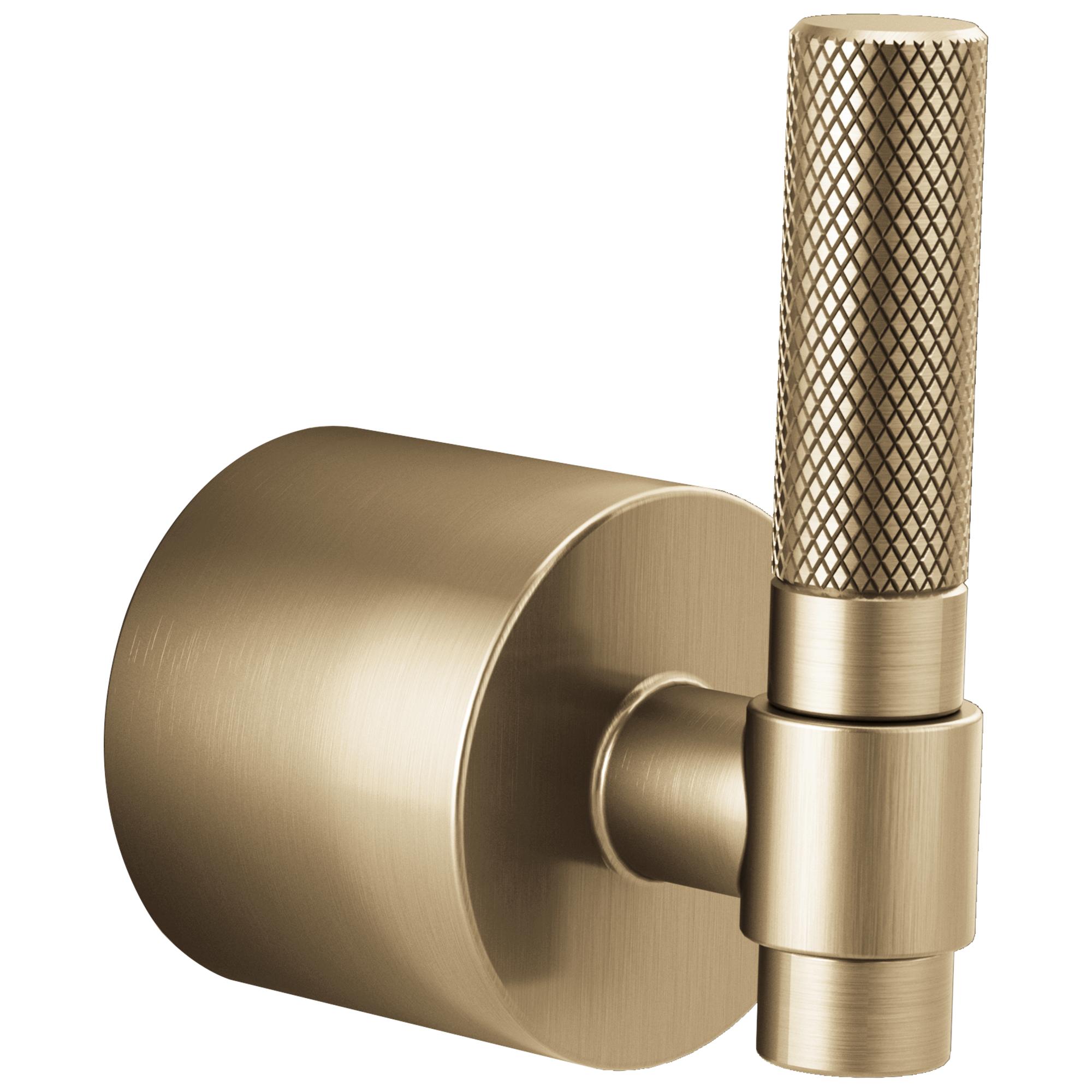 Brizo Litze Single-Handle Floor Mount Tub Filler T-Lever Handle Kit by Brizo