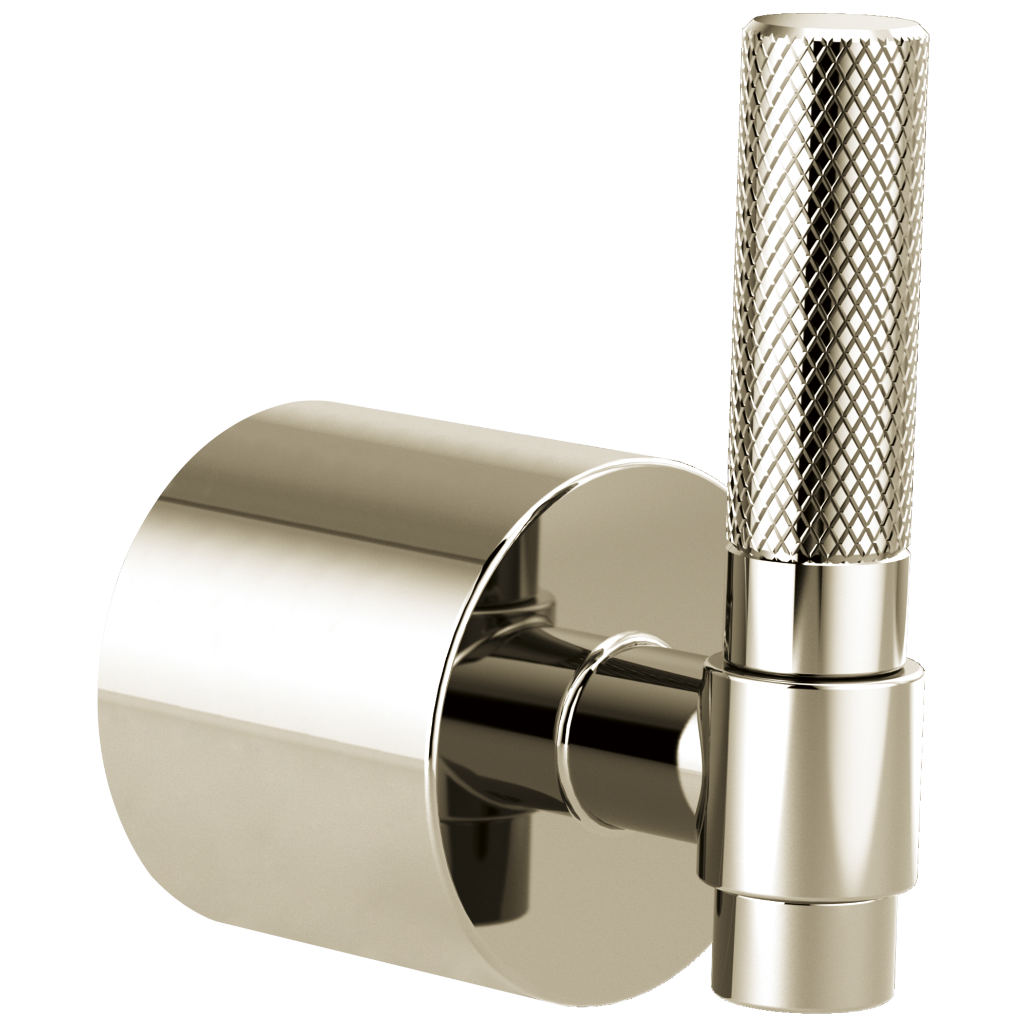 Brizo Litze Single-Handle Floor Mount Tub Filler T-Lever Handle Kit by Brizo