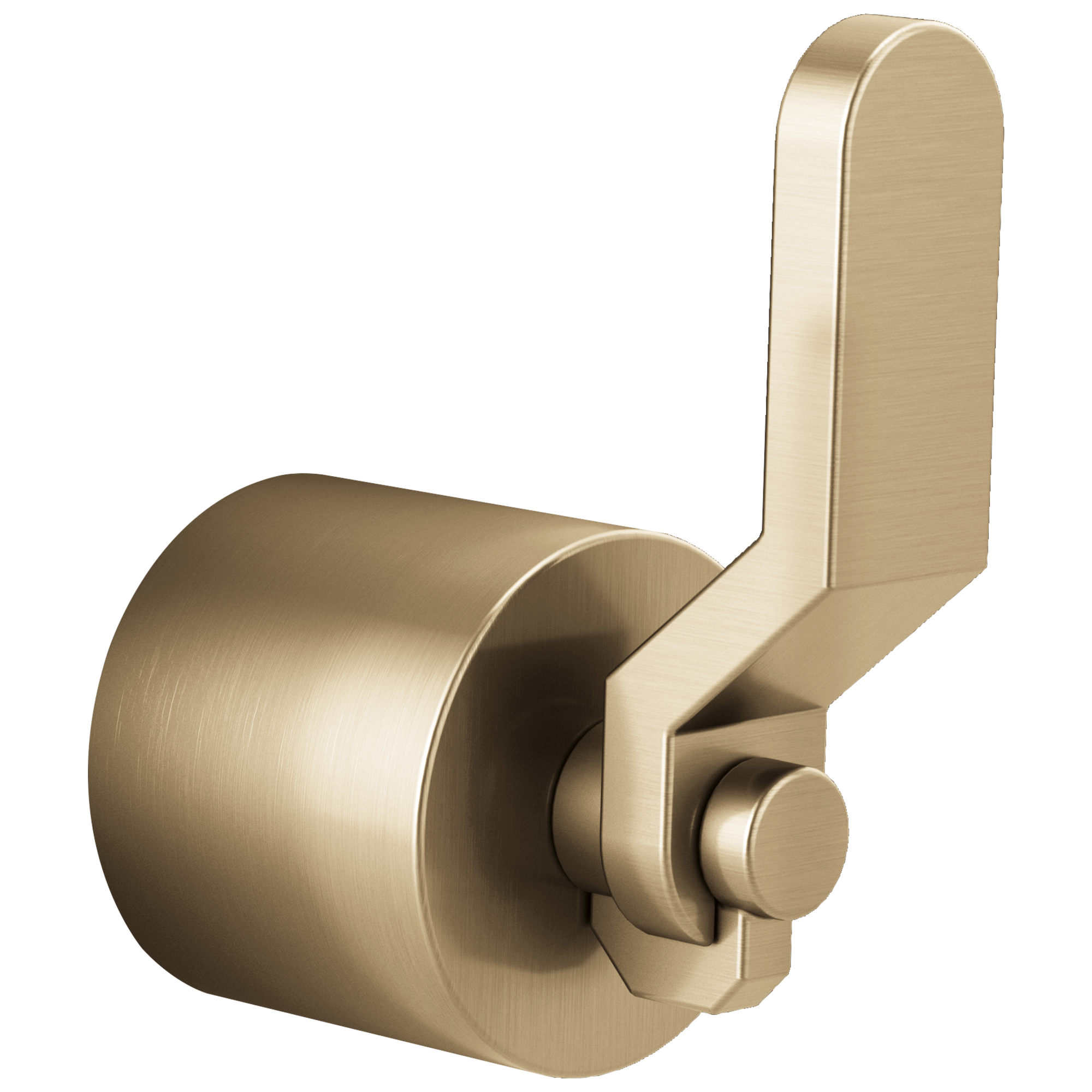 Brizo Litze Single-Handle Floor Mount Tub Filler Industrial Lever Handle Kit by Brizo
