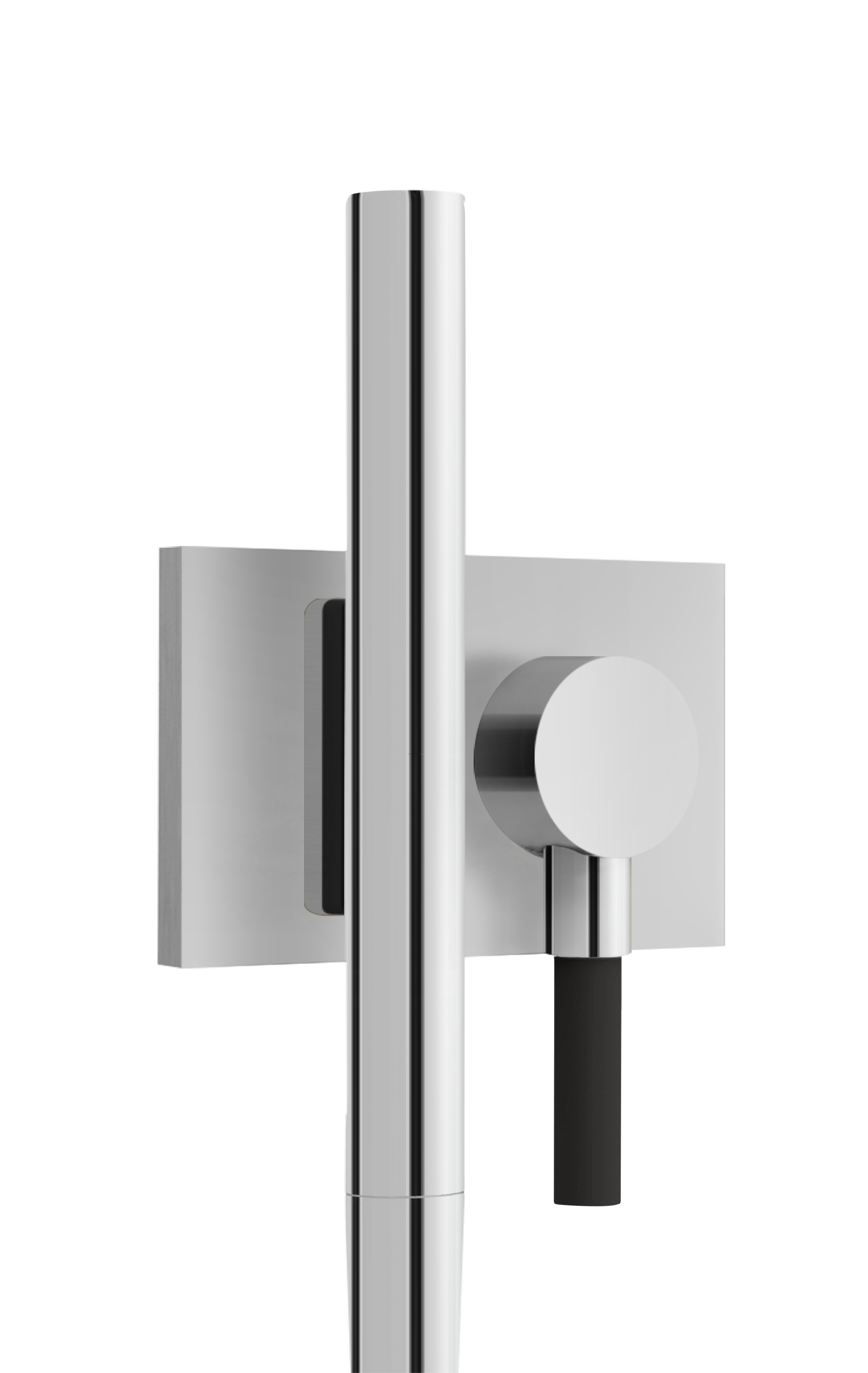 polished chrome hand shower