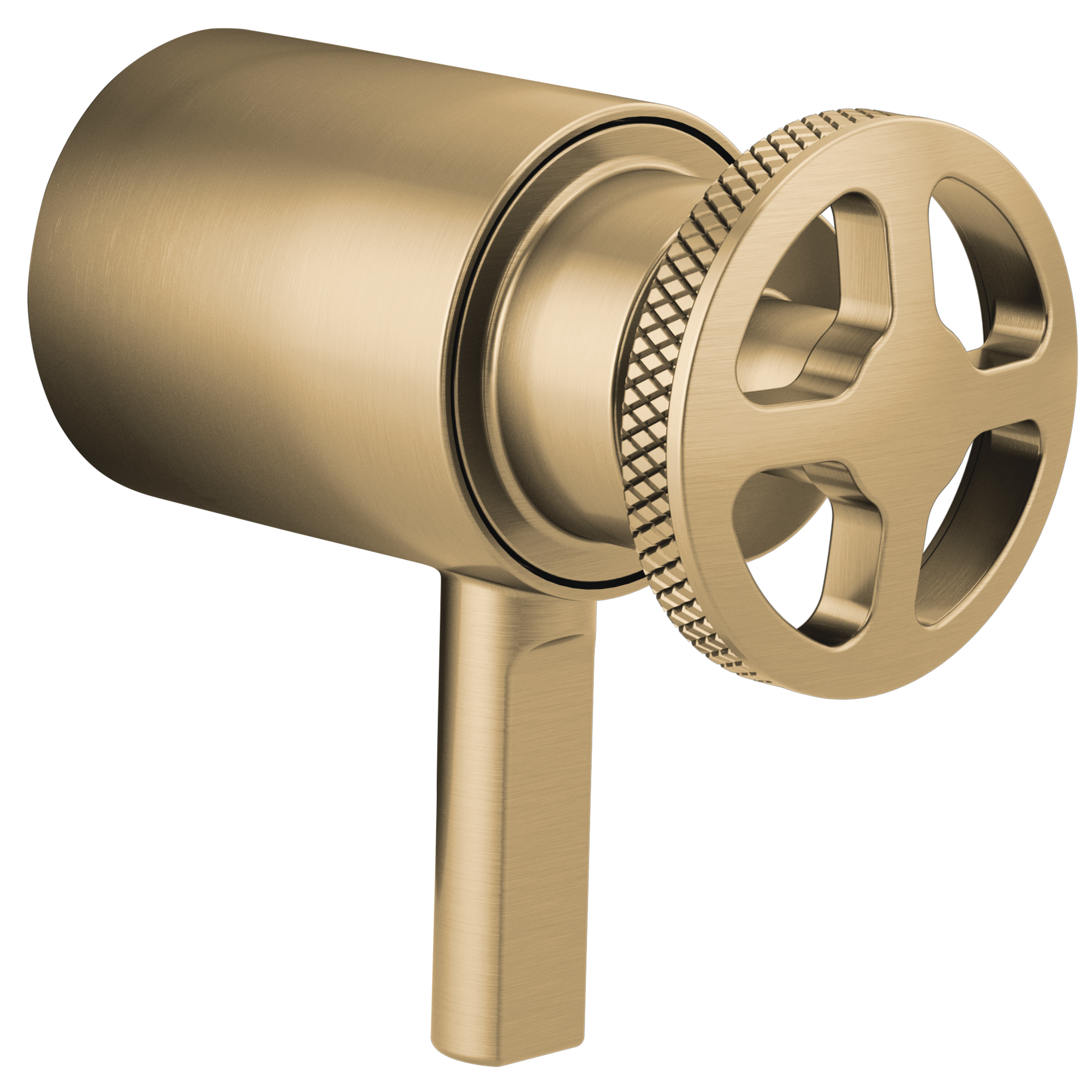 Brizo Litze TempAssure Thermostatic Valve Trim Wheel Handle Kit by Brizo