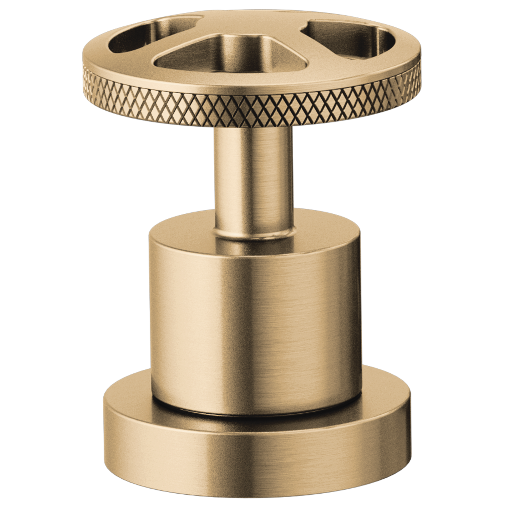 luxe gold handle kit