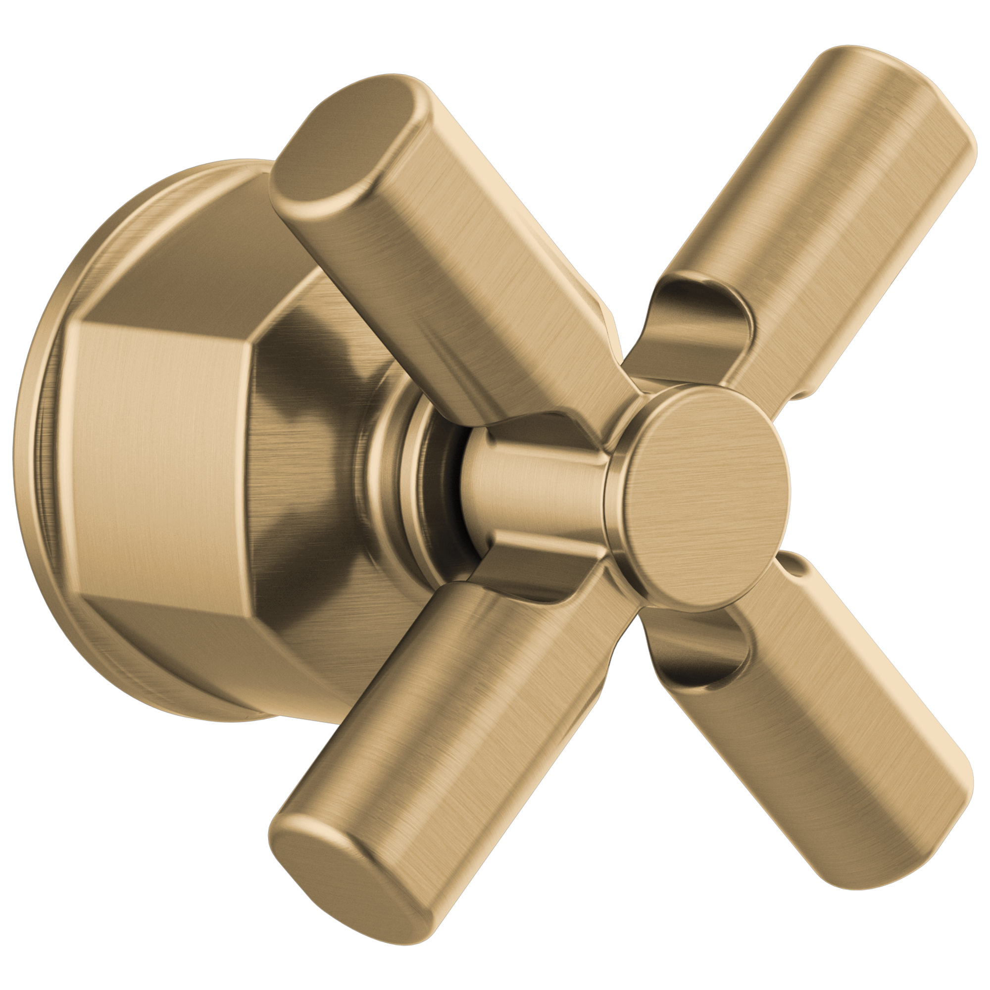 luxe gold handle kit