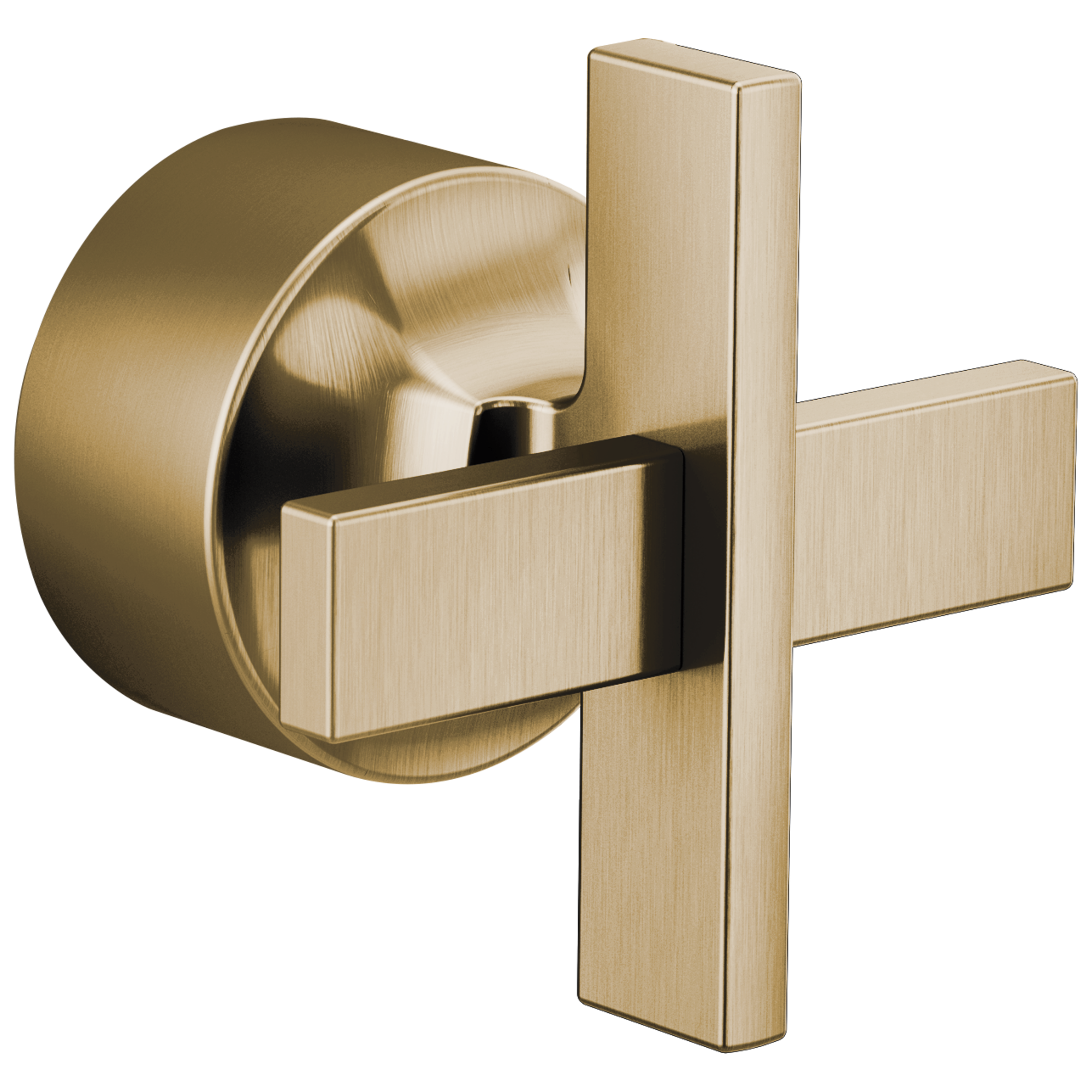 luxe gold handle kit