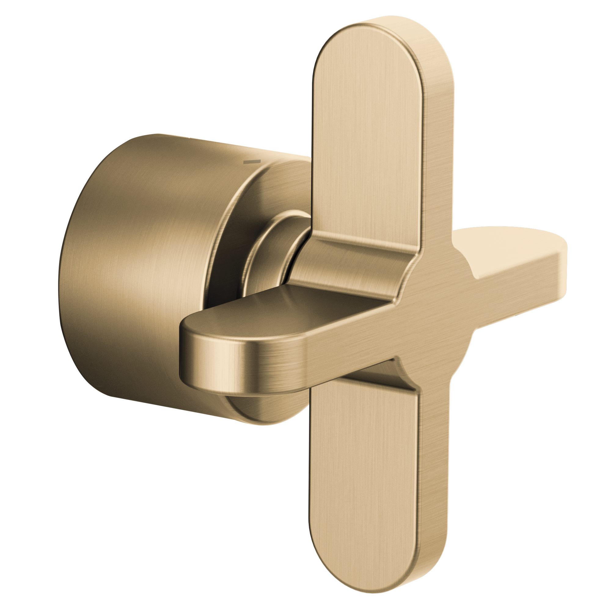 luxe gold handle kit