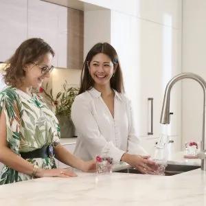 Zip Water Celsius Plus All in One Faucet with Spray by Zip Water