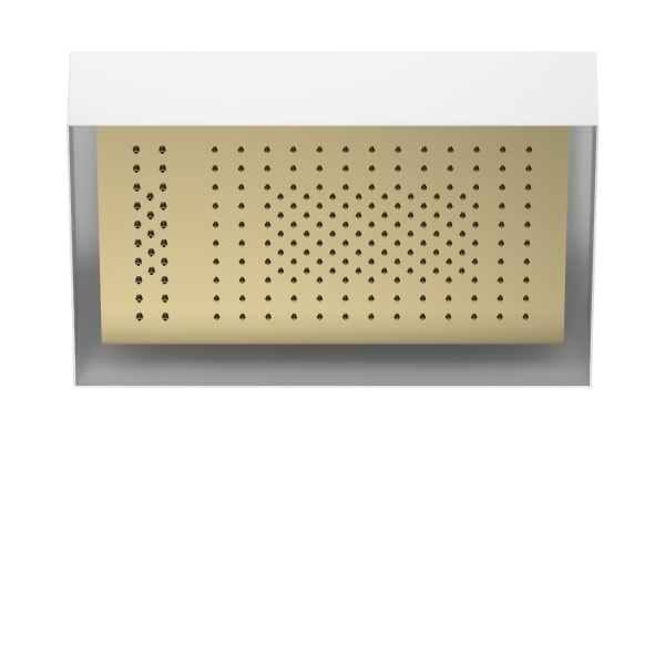 Fantini Acquafit Ceiling Mount Rectangular Multifunction Showerhead