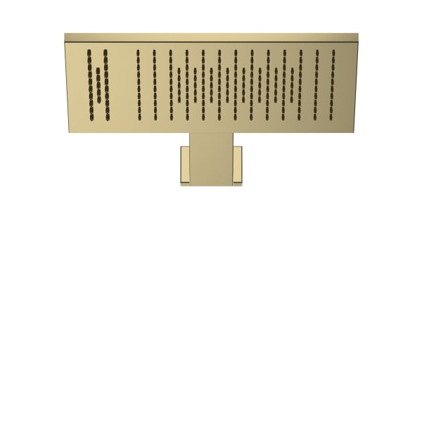 Fantini Acquafit Dream Wall Mount Rectangular Multifunction Showerhead