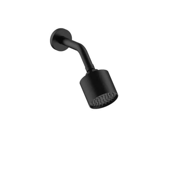 Fantini Wall Mount Adjustable Showerhead by Fantini