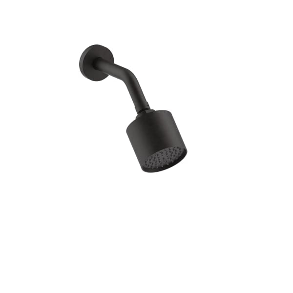 Fantini Wall Mount Adjustable Showerhead - Restricted to 1.8 GPM