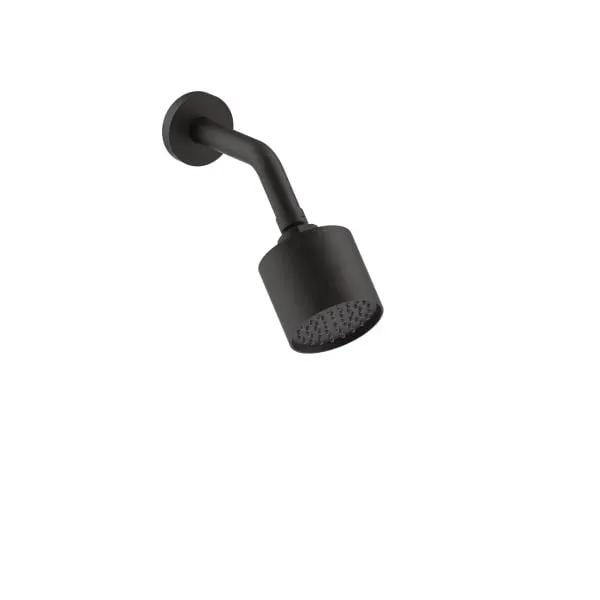 Fantini Wall Mount Adjustable Showerhead - Restricted to 1.8 GPM by Fantini