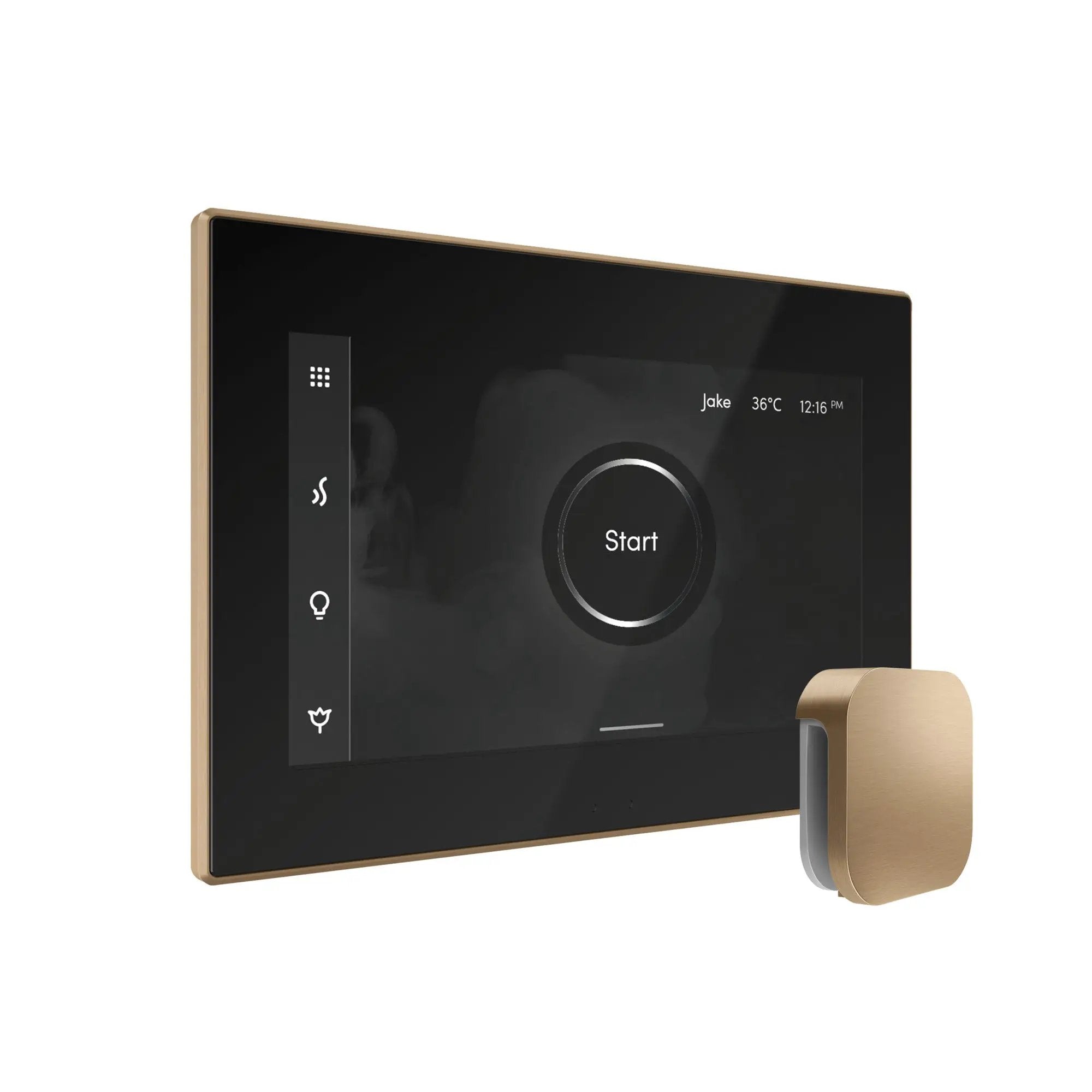 black - brushed bronze control